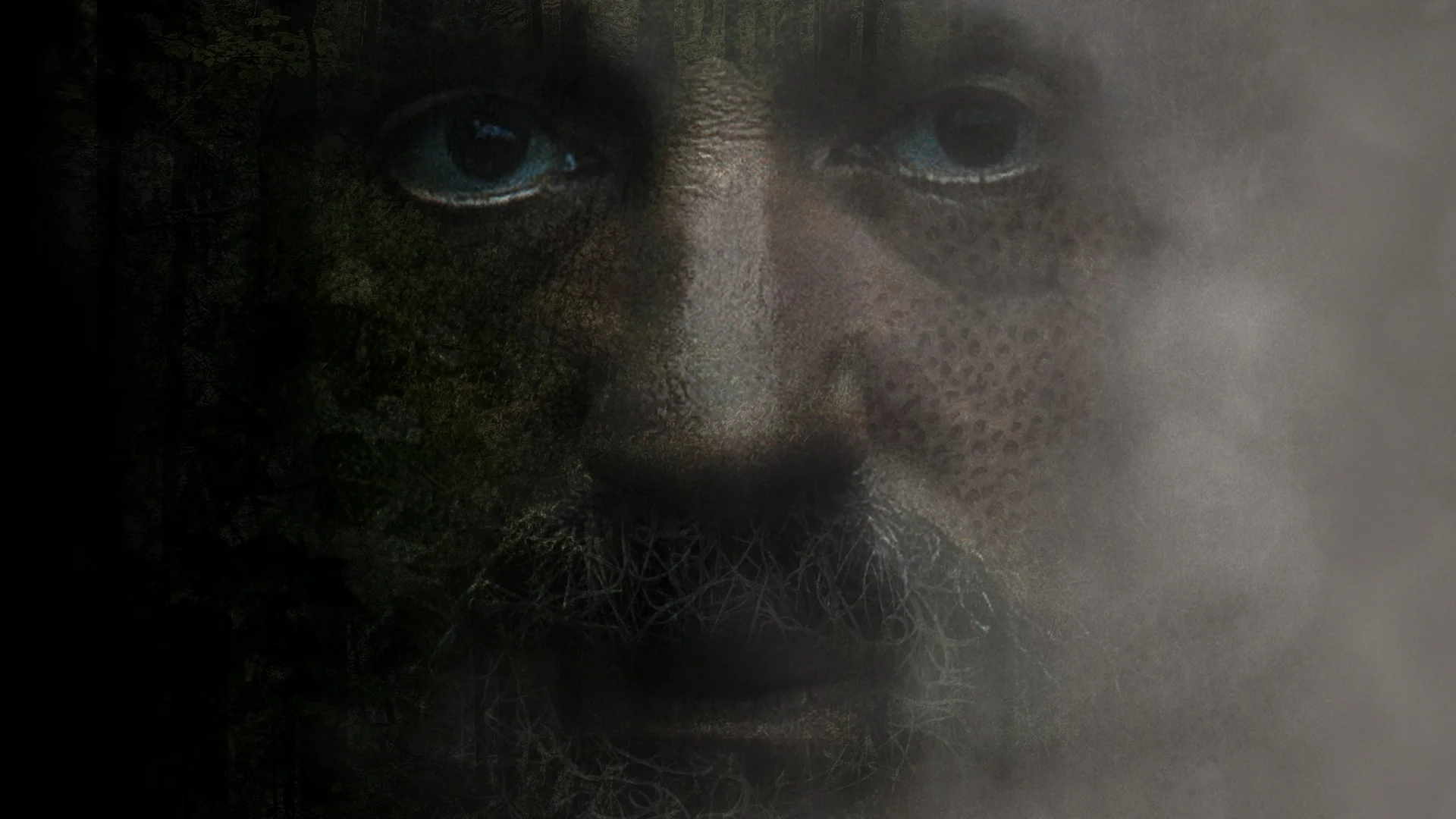 Backdrop de Substance noire