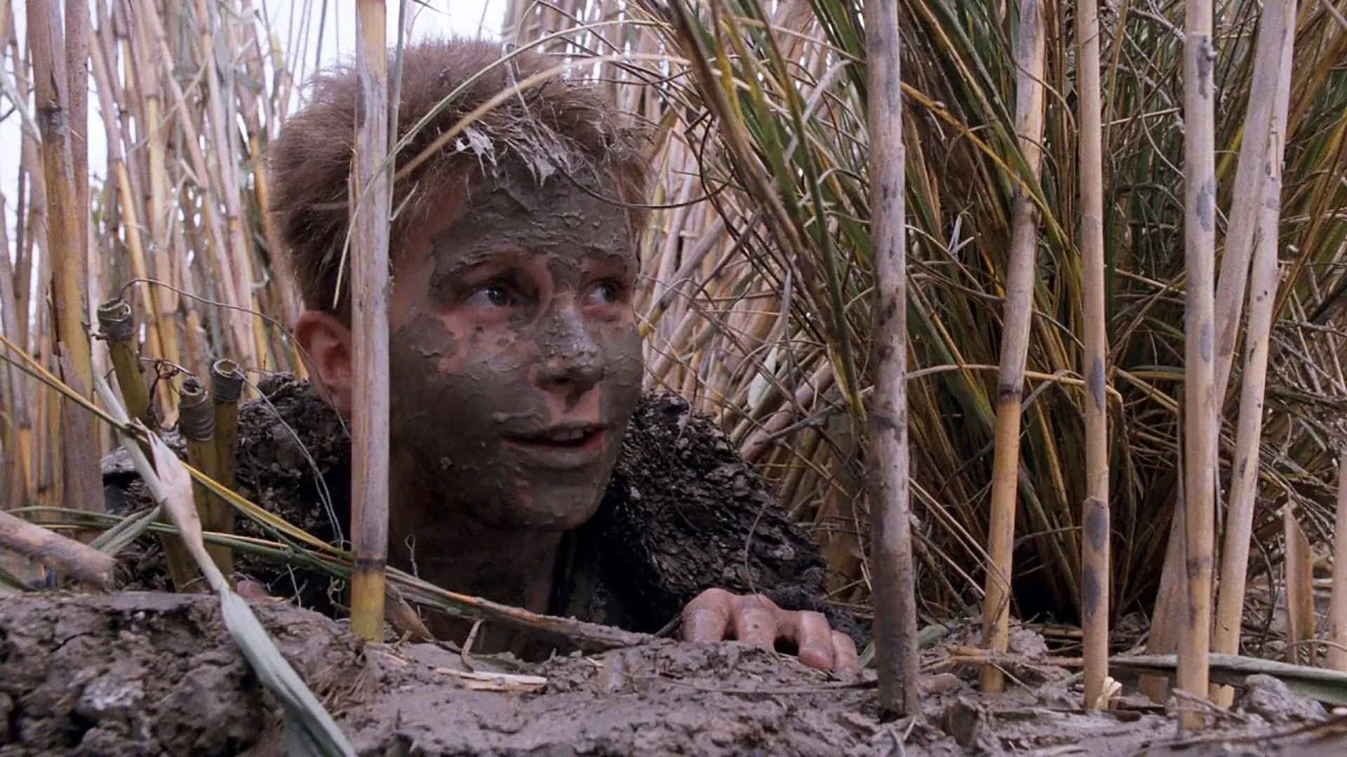 Backdrop de El imperio del sol