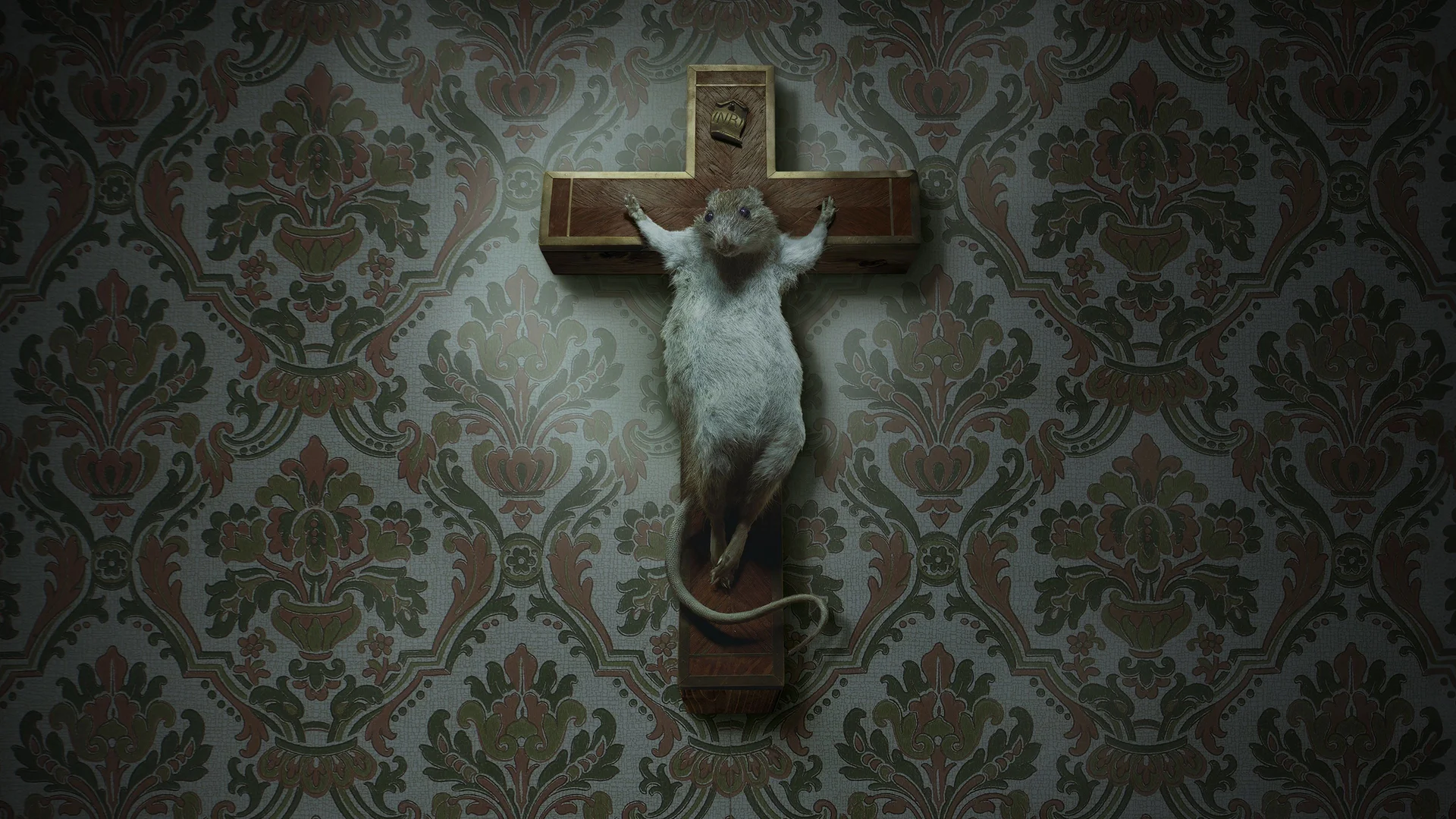 Backdrop de Entre la realidad y la locura