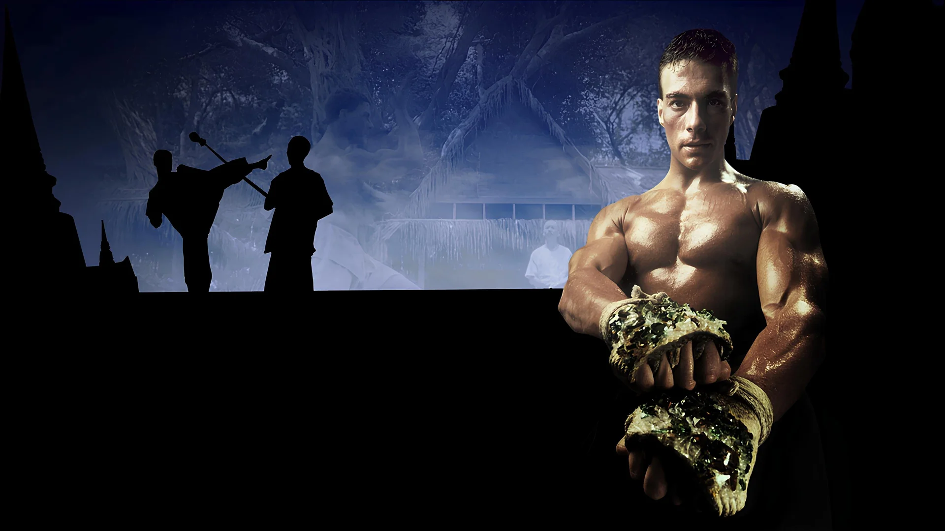 Backdrop de Kickboxer