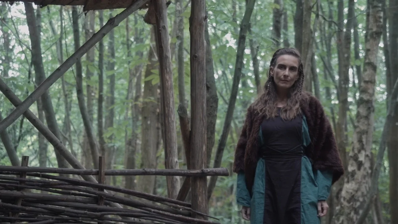 Sed De Sangre Vikinga