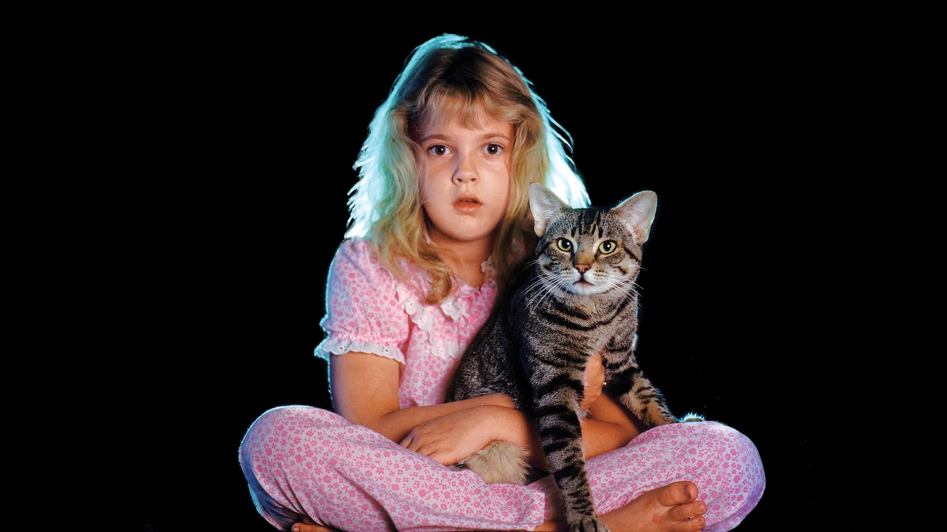 Backdrop de El ojo del gato