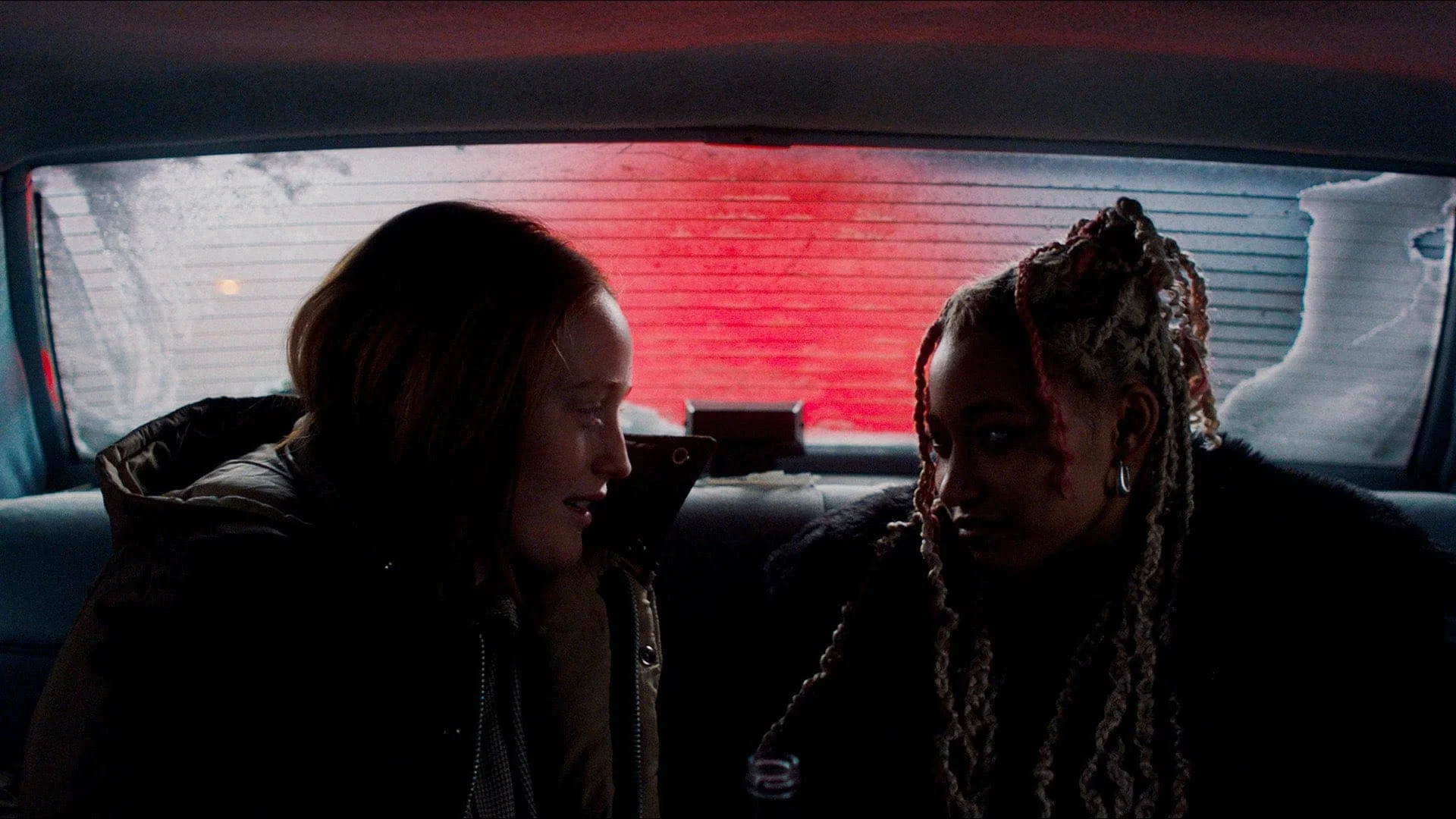 Backdrop de My Animal