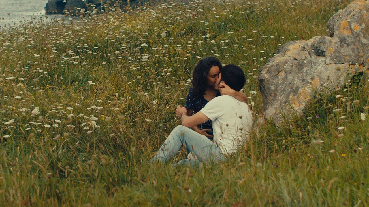 Notas sobre un verano