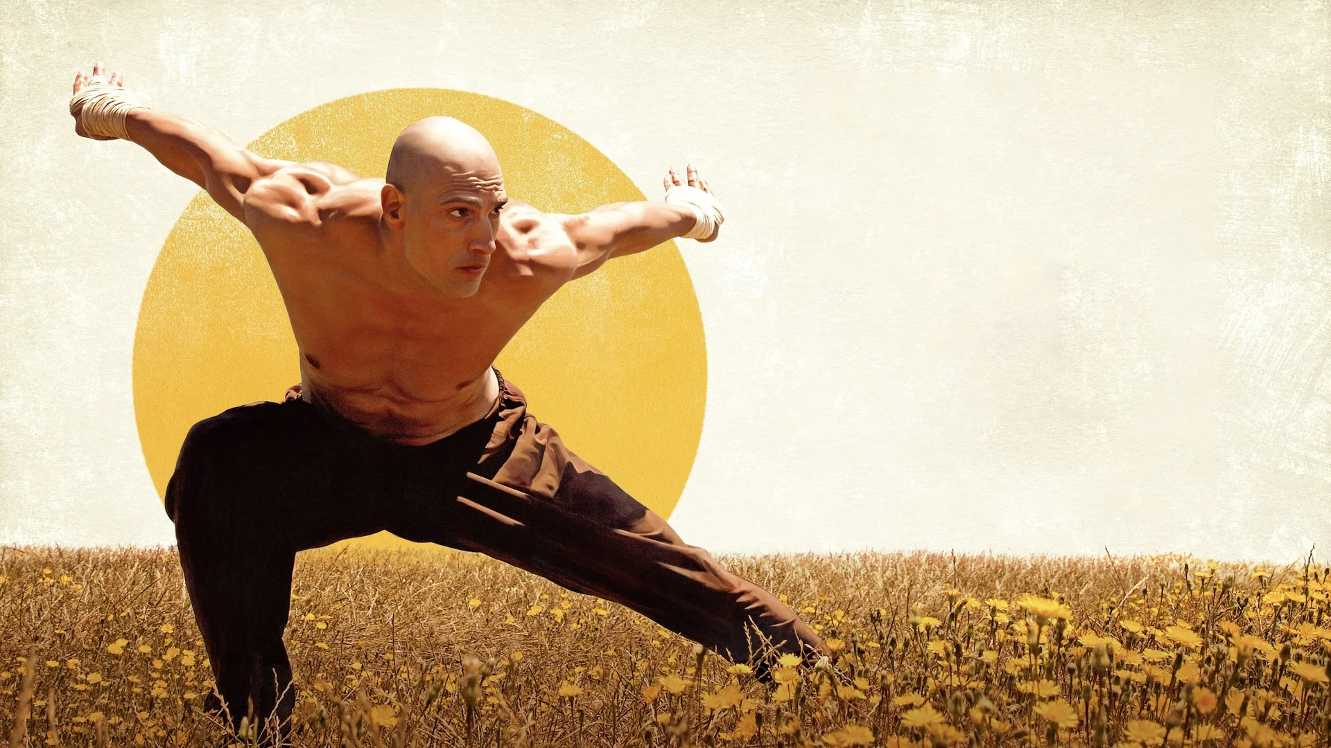 Backdrop de El puño del cóndor