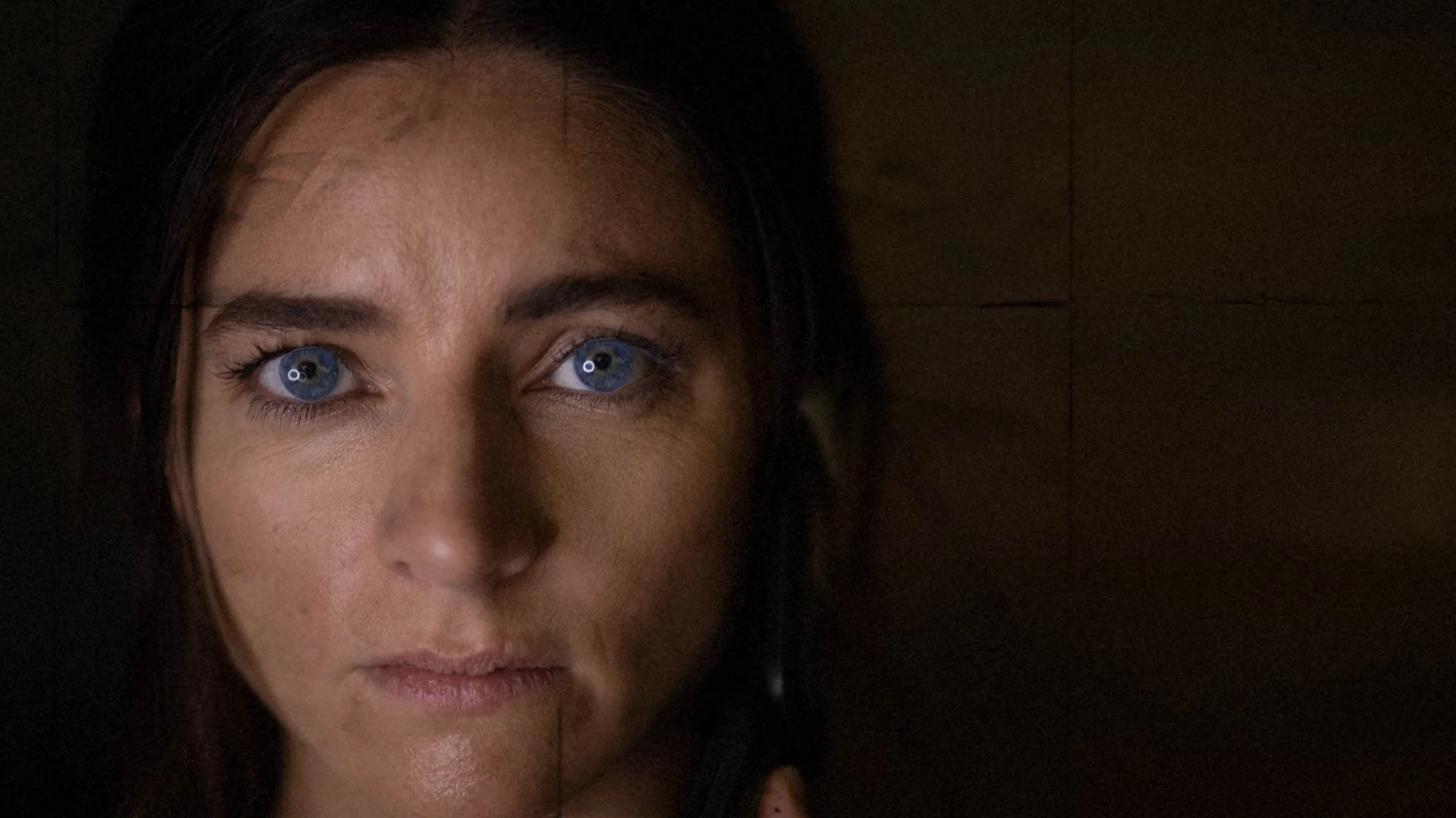 Backdrop de Solid Rock Trust