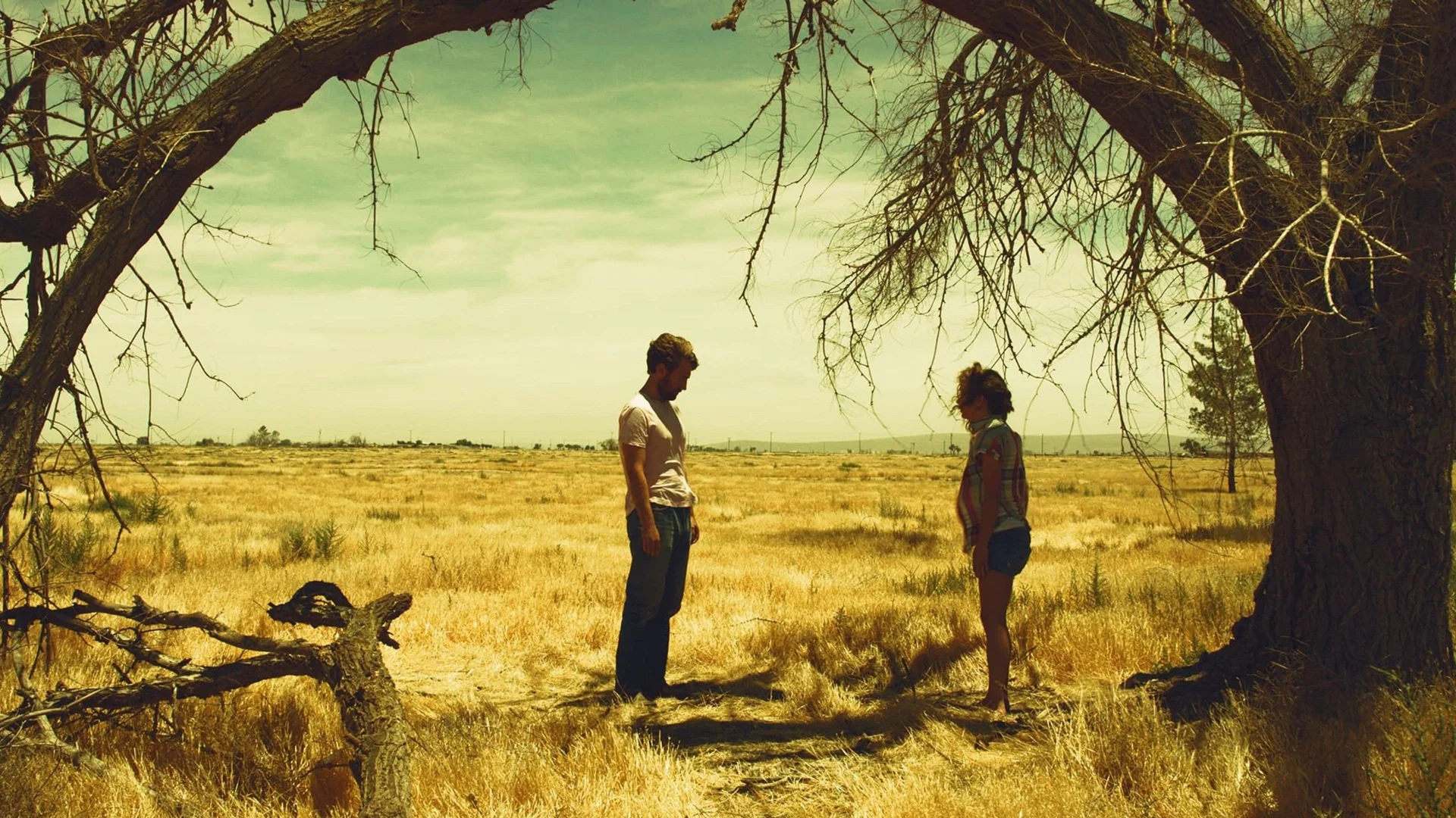 Backdrop de The Obscured