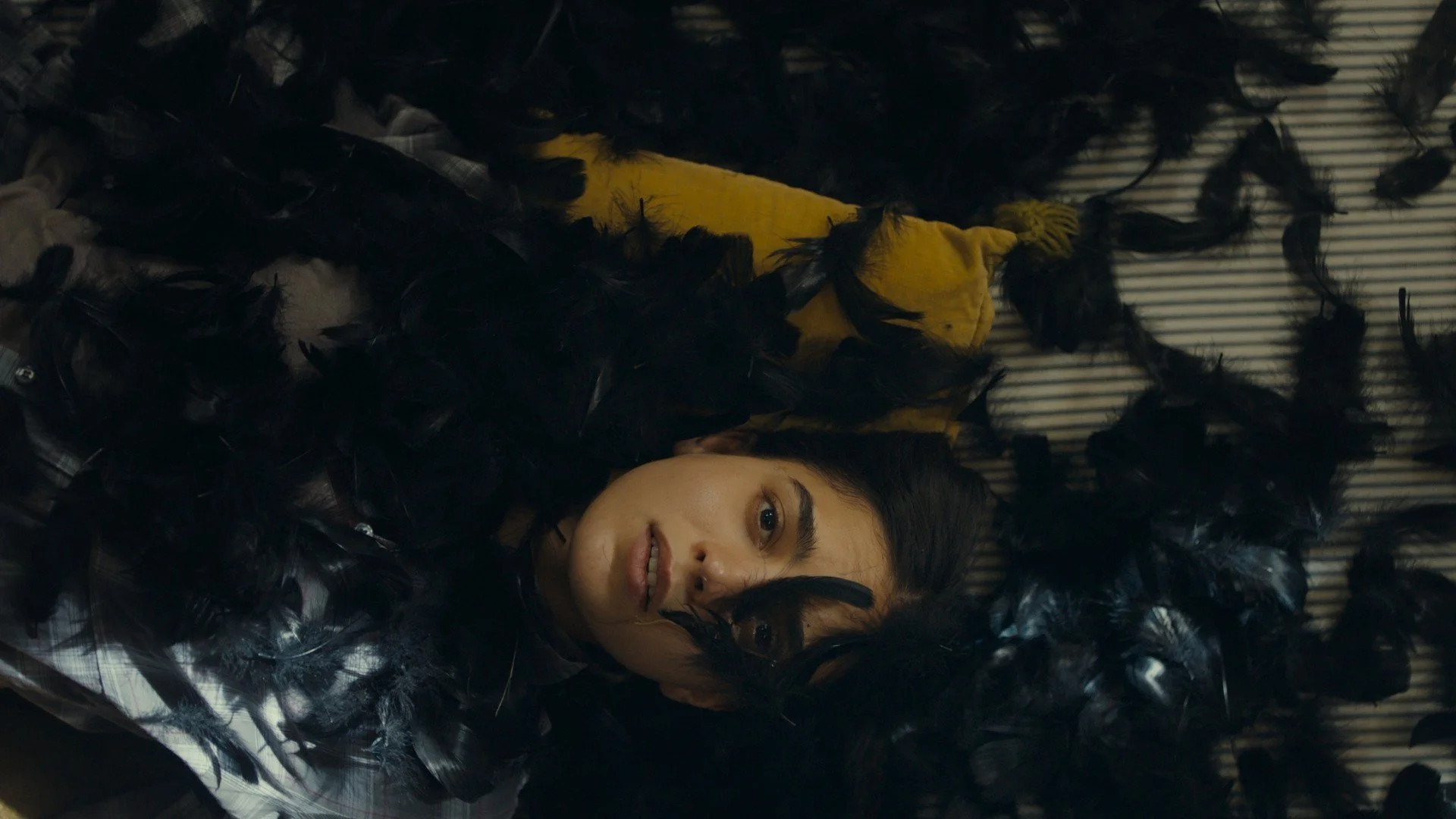 Backdrop de All the World Is Sleeping