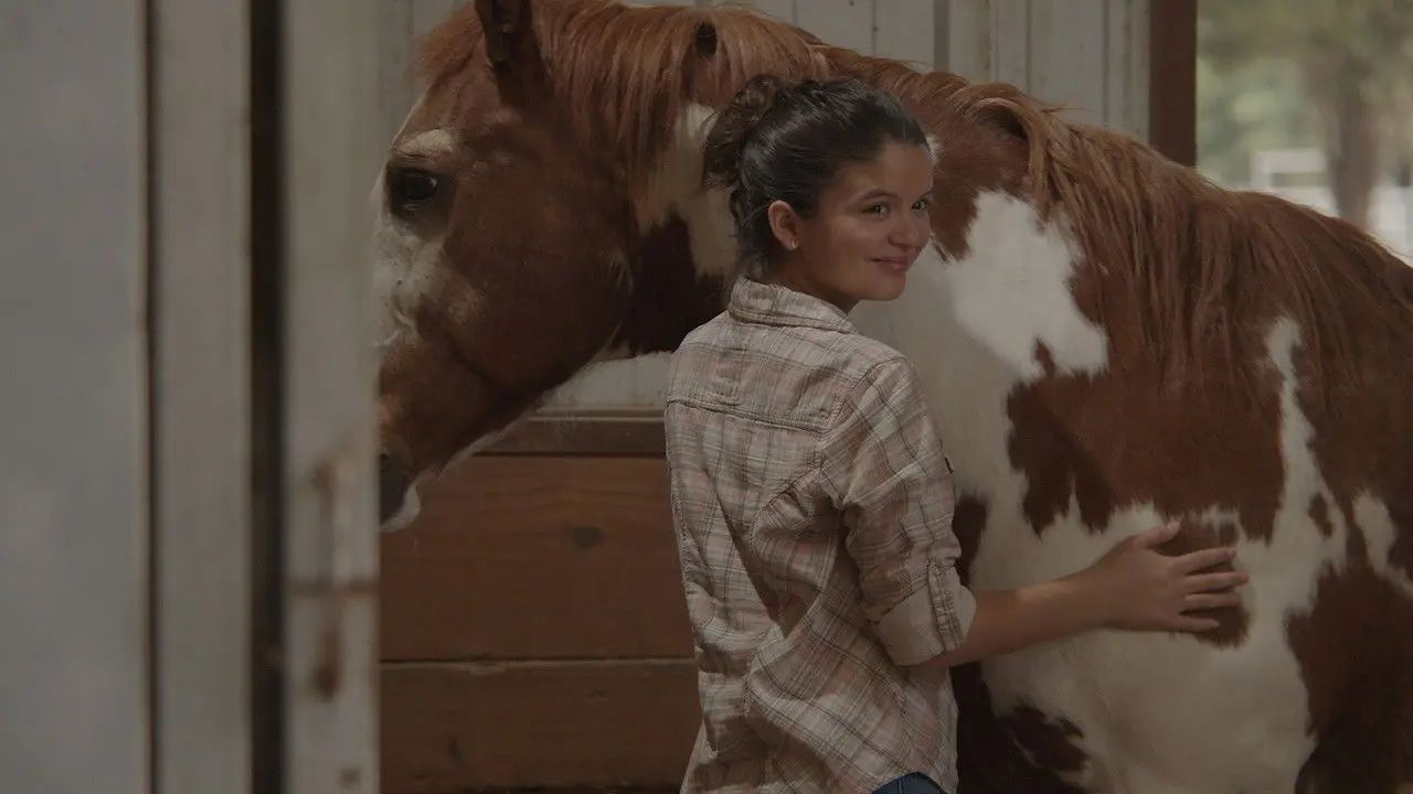 Corazón de Campeón