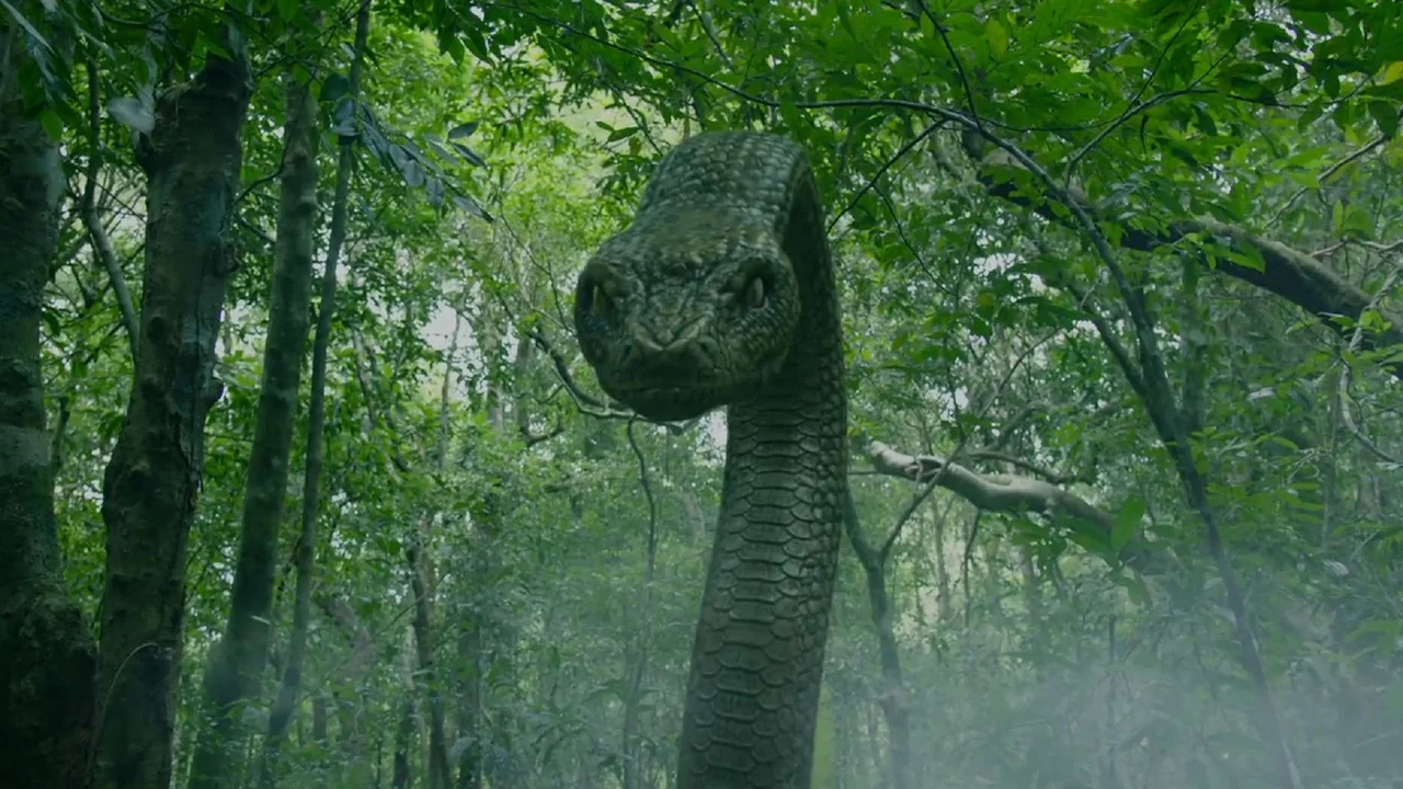 Pitón De Aguas Profundas