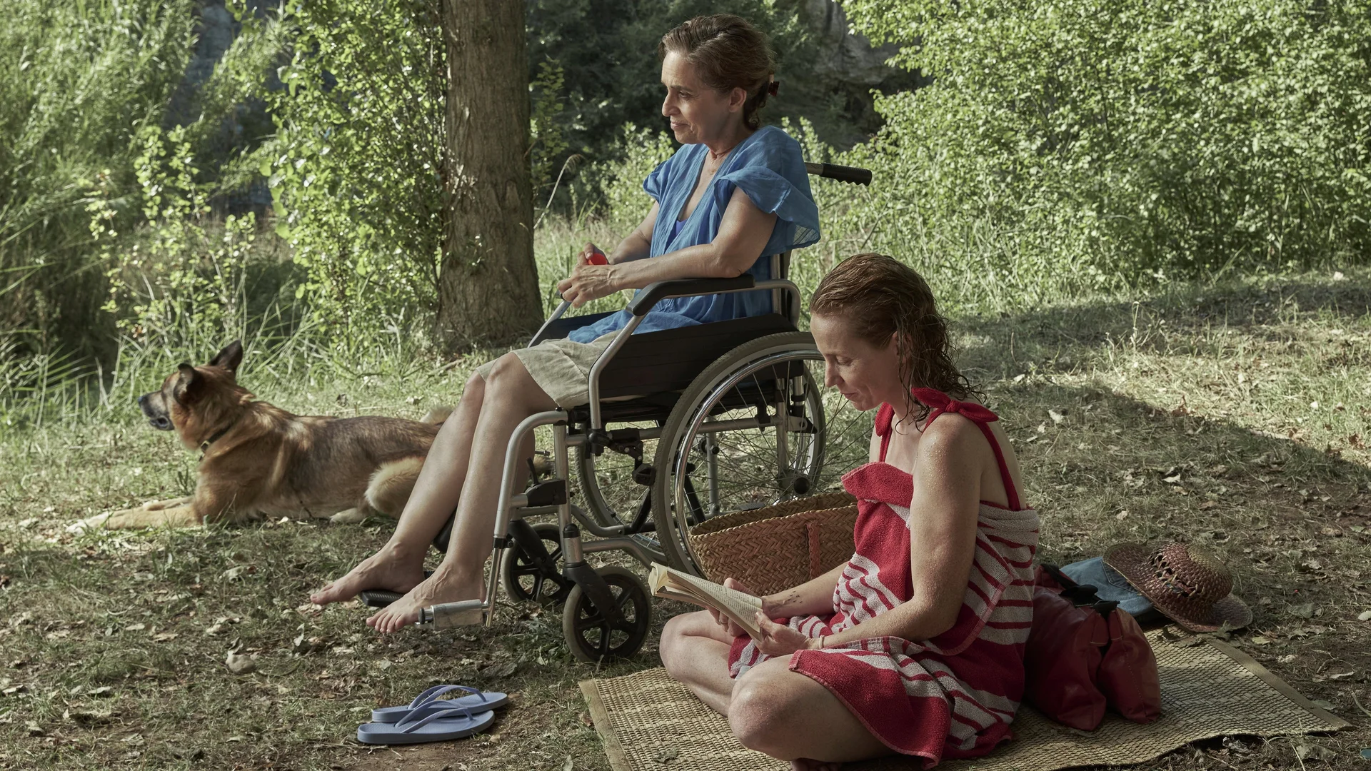 Backdrop de Los pequeños amores