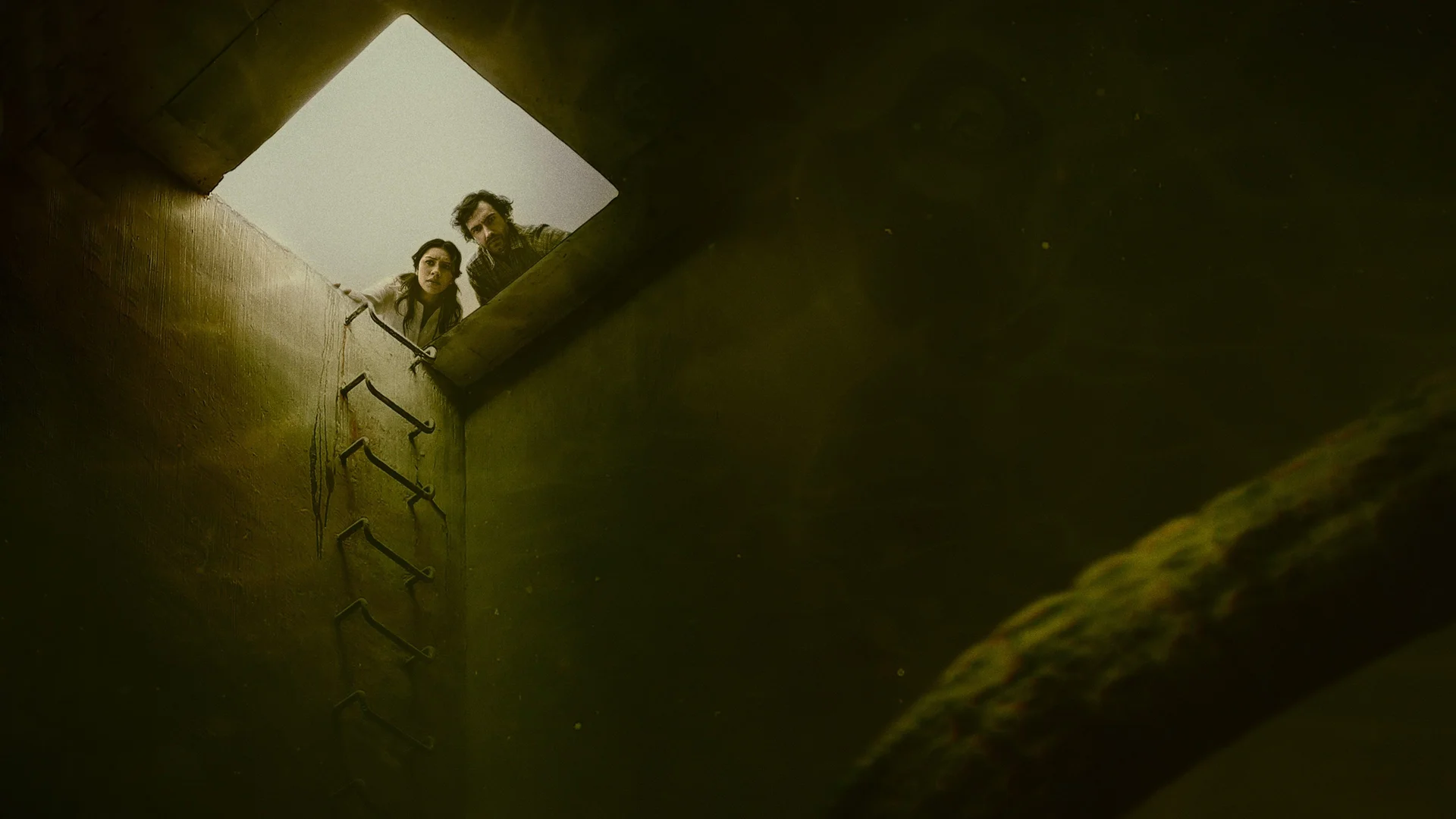 Backdrop de The Tank