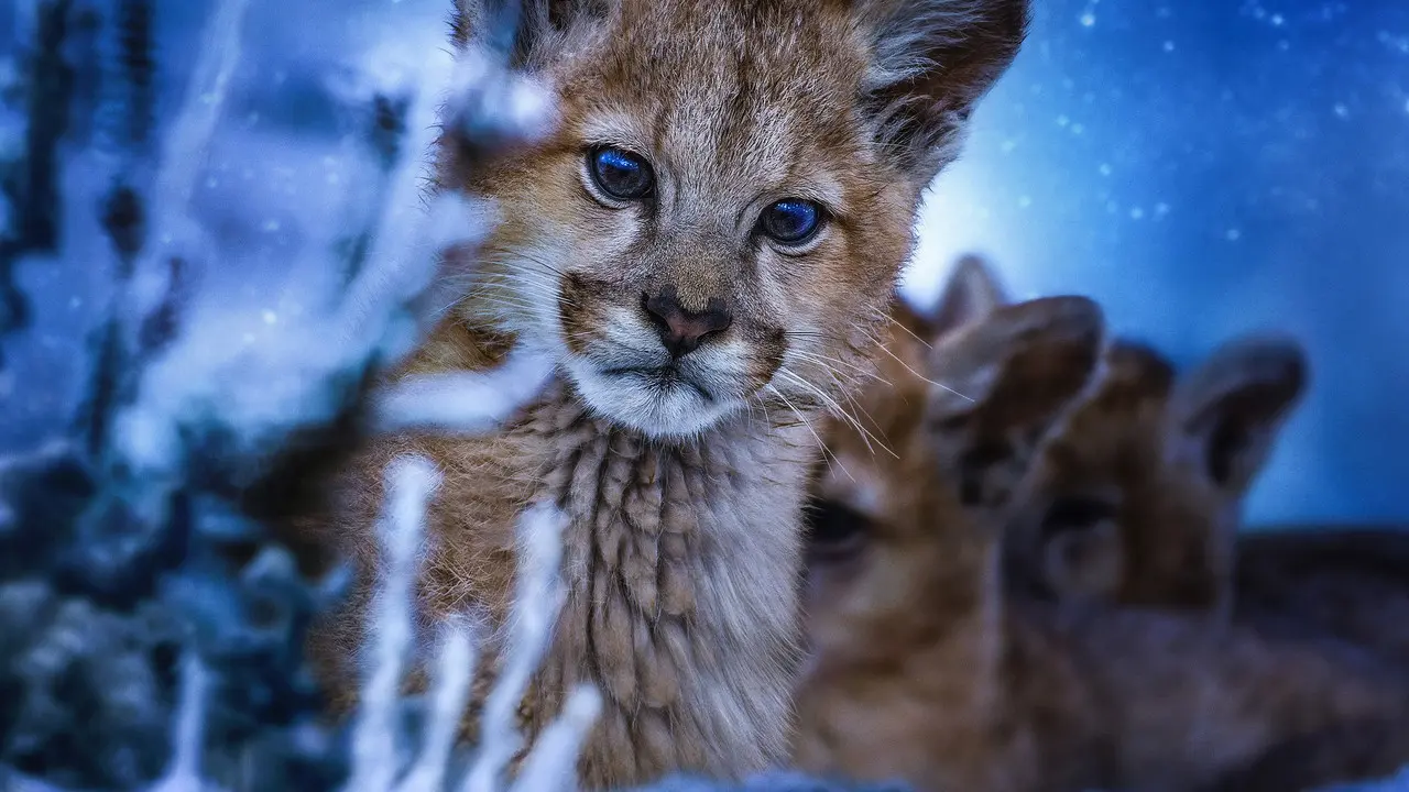 Planeta nocturno: A todo color