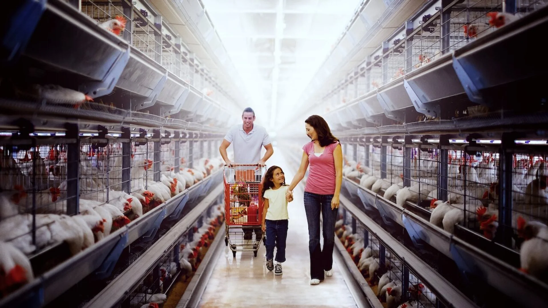 Backdrop de Intoxicación: La cruda verdad sobre nuestra comida