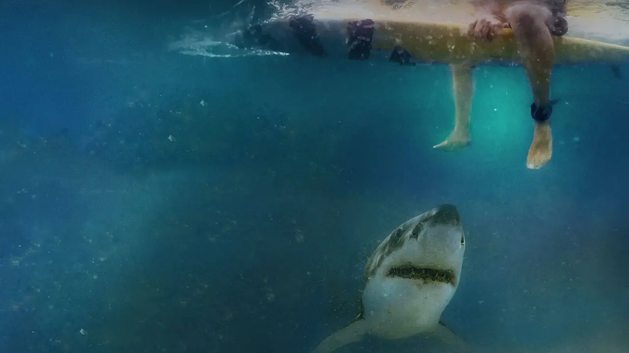 Cabo Cod: La Amenaza de los Mares