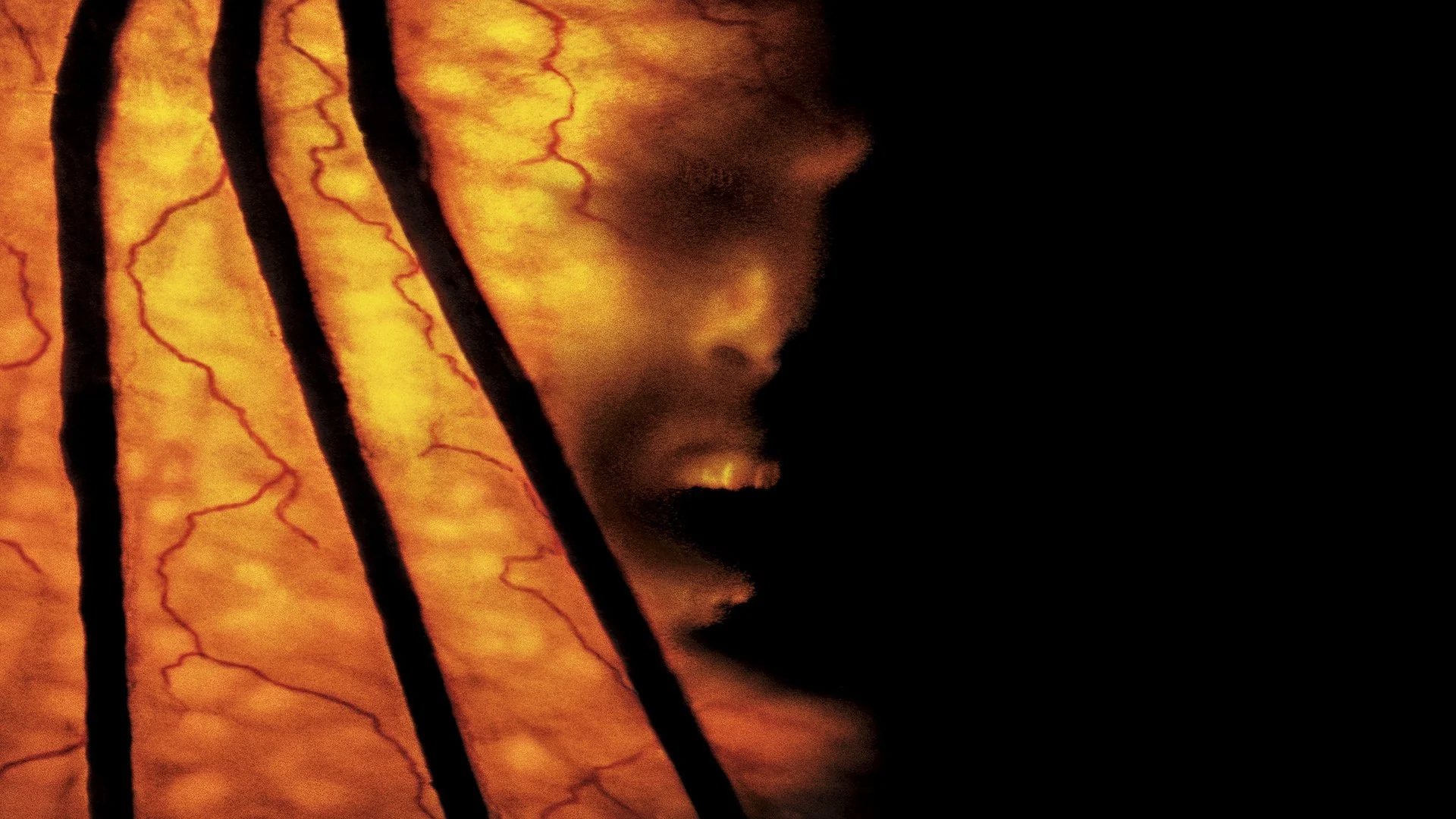 Backdrop de El demonio 2