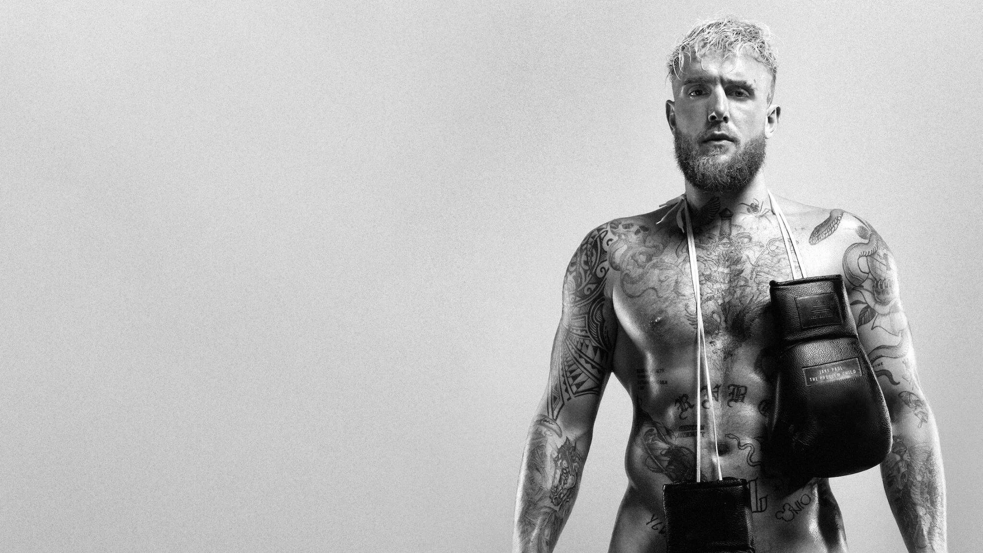 Backdrop de Al descubierto: Jake Paul, el chico problema