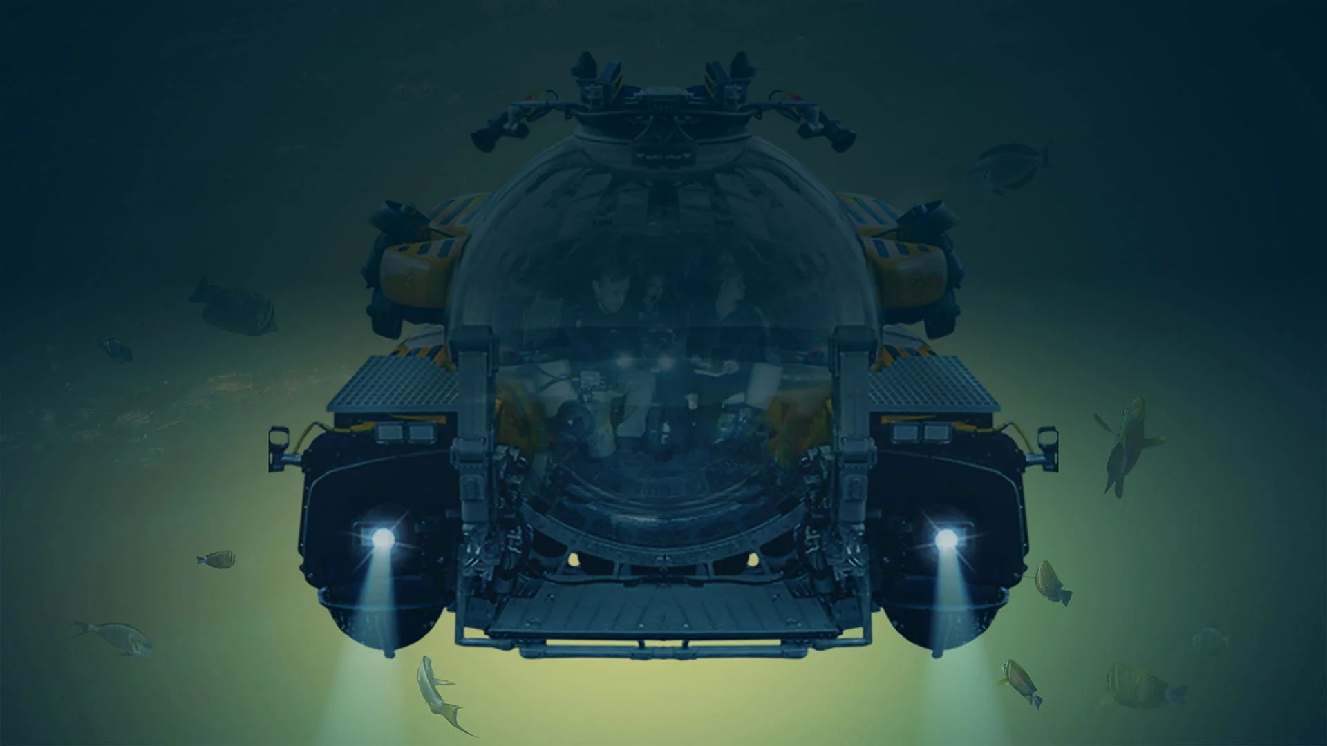 Backdrop de OceanXplorers