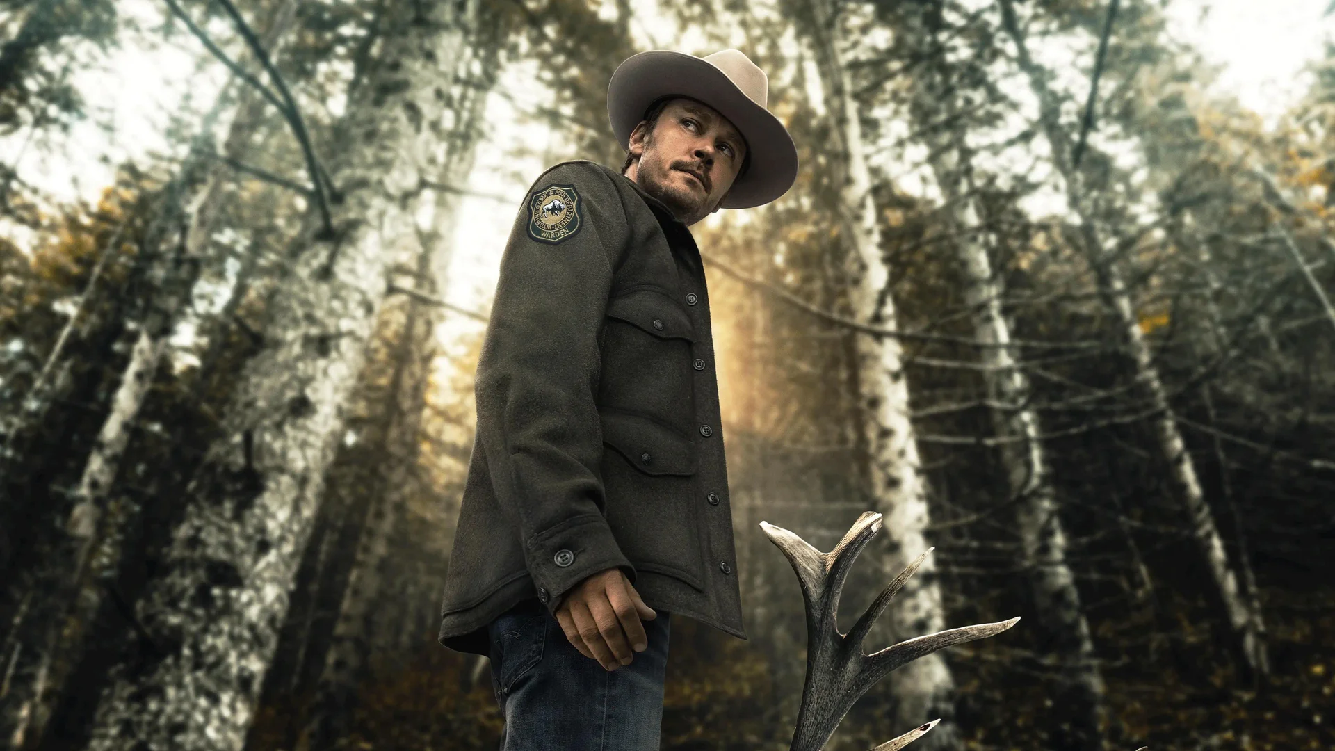 Backdrop de Joe Pickett