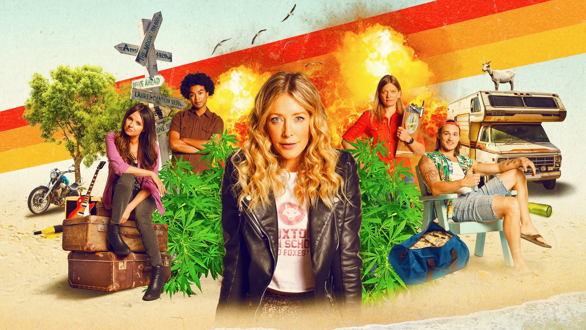 Backdrop de Moonshine