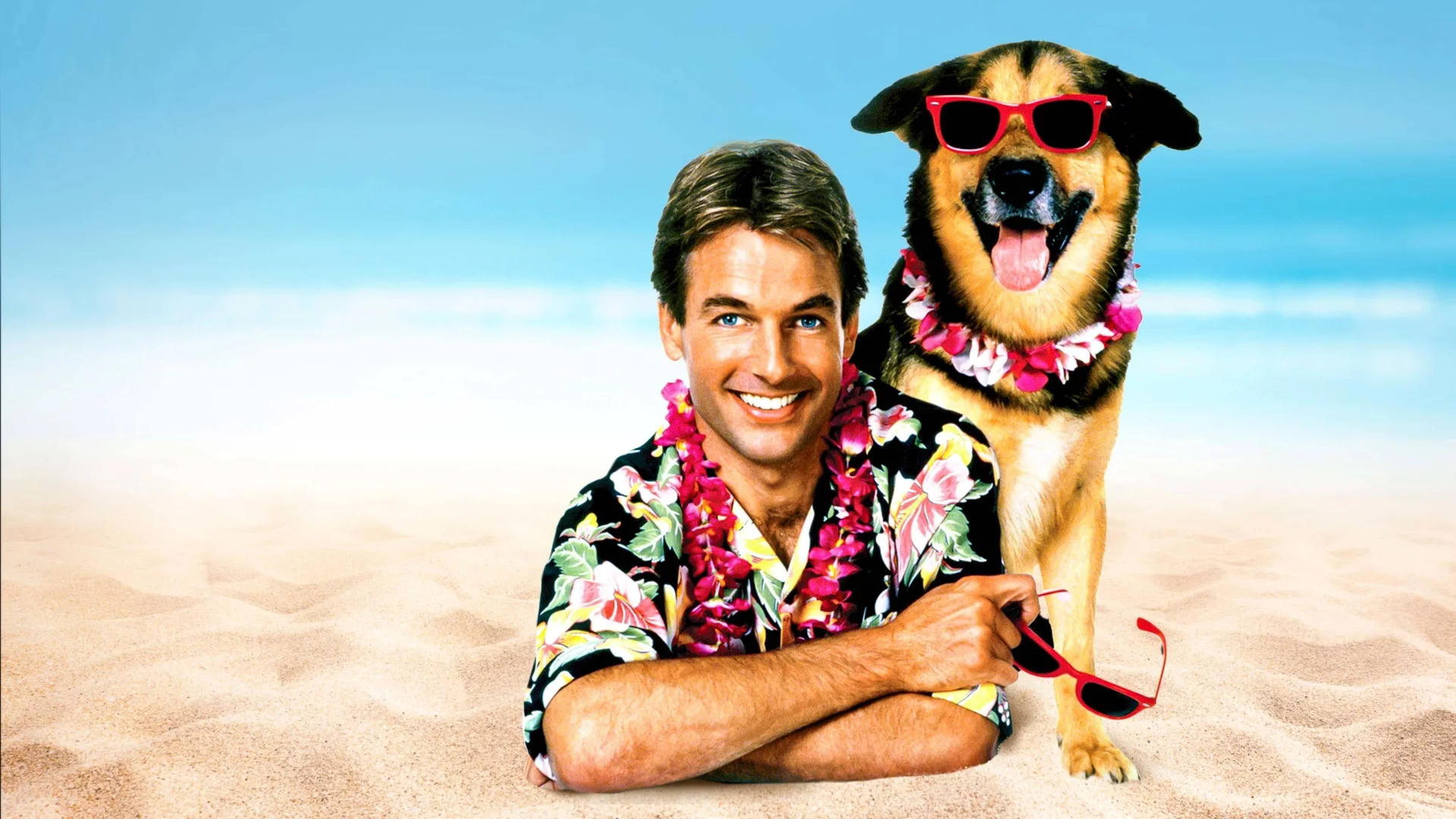 Backdrop de Escuela de verano (Summer School)