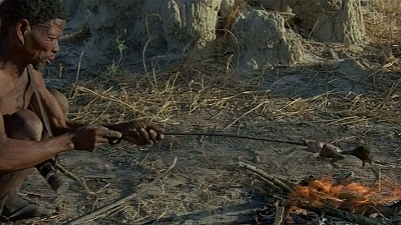 Animals Are Beautiful People