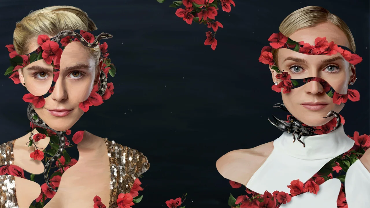 Cómo sobrevivir a un tiburón