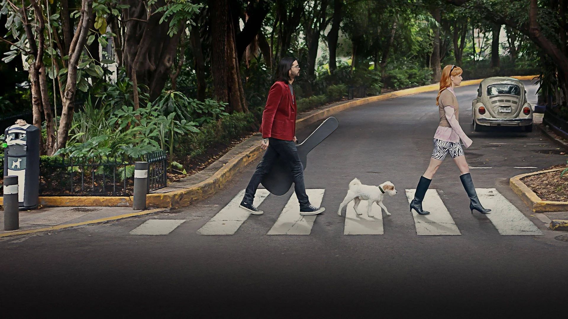 Backdrop de Amsterdam