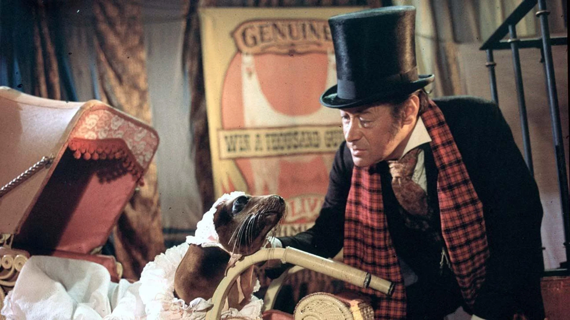 Backdrop de El Extragante Doctor Dolittle