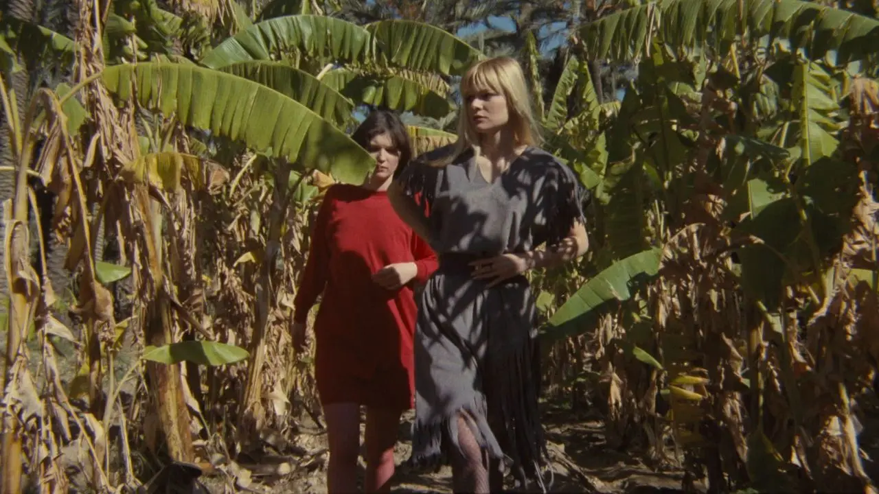 L’Oasis des filles perdues