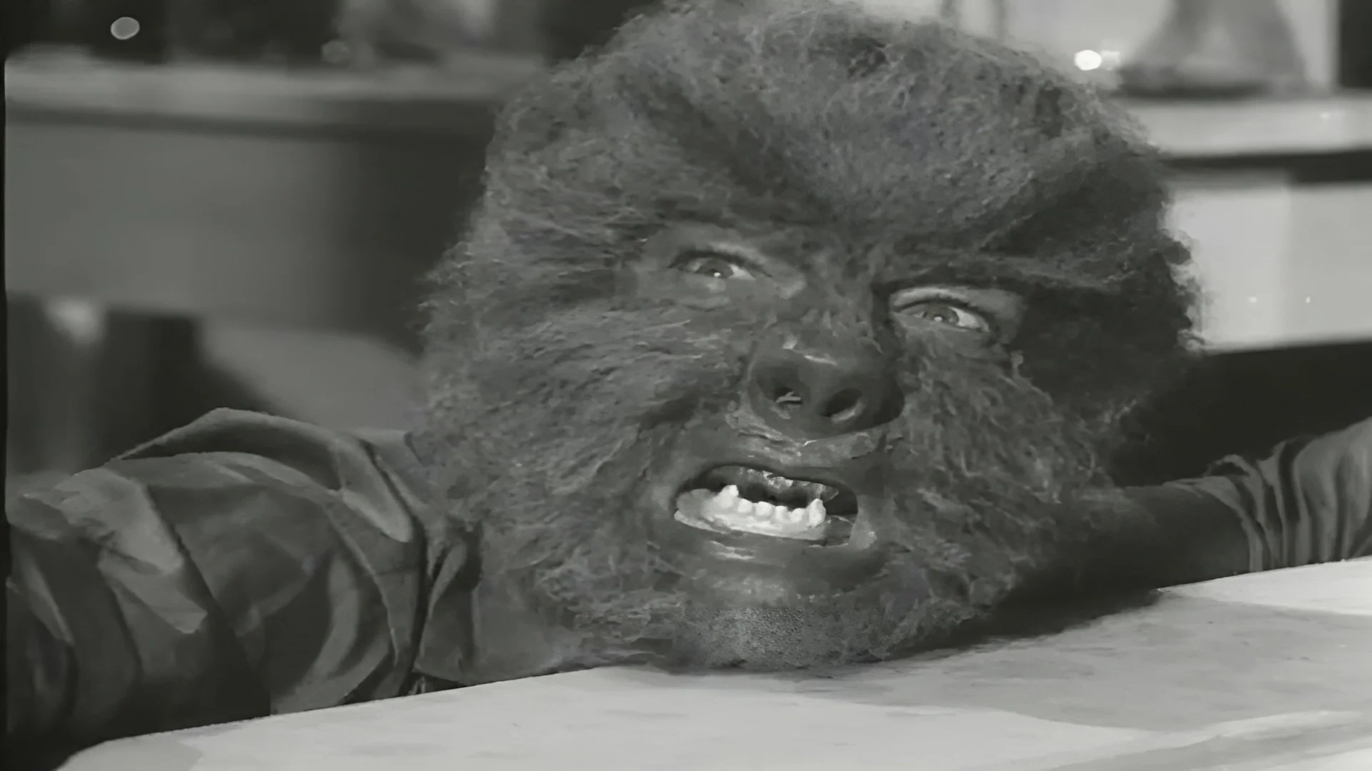 Backdrop de La Casa Del Terror