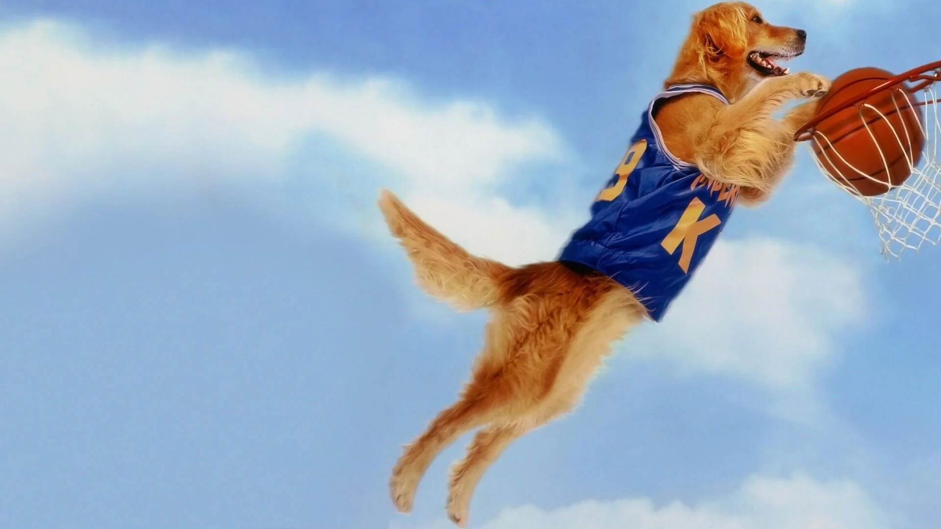 Backdrop de Air Bud: Super Estrella
