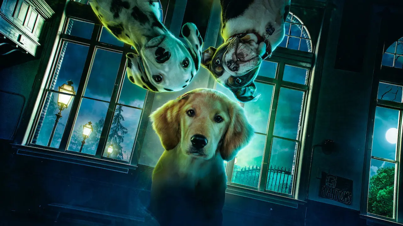 Cachorros fantasmas