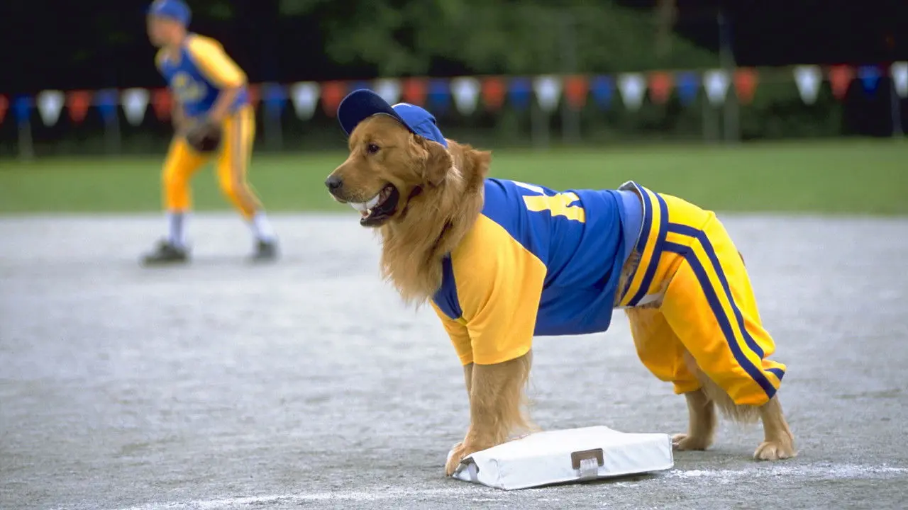 Air Bud: El bateador de oro