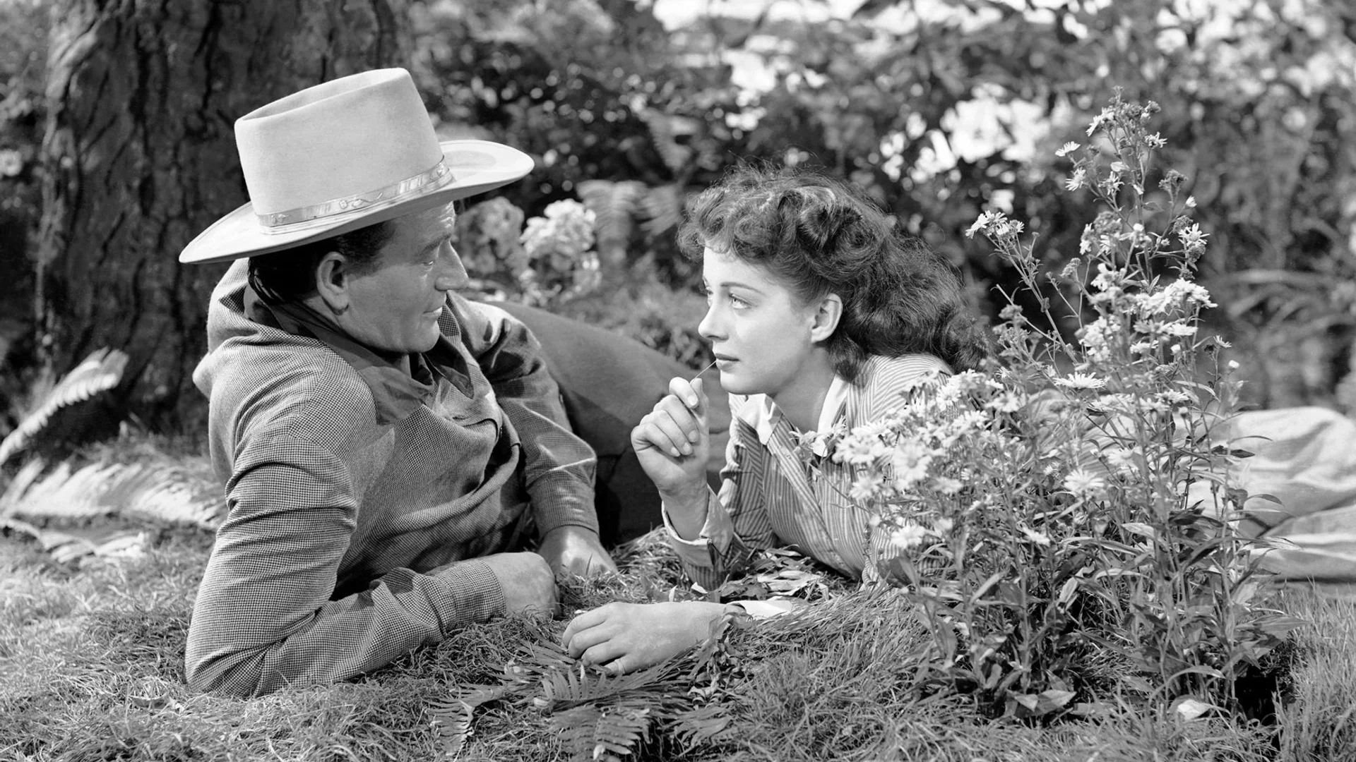 Backdrop de Angel and the Badman