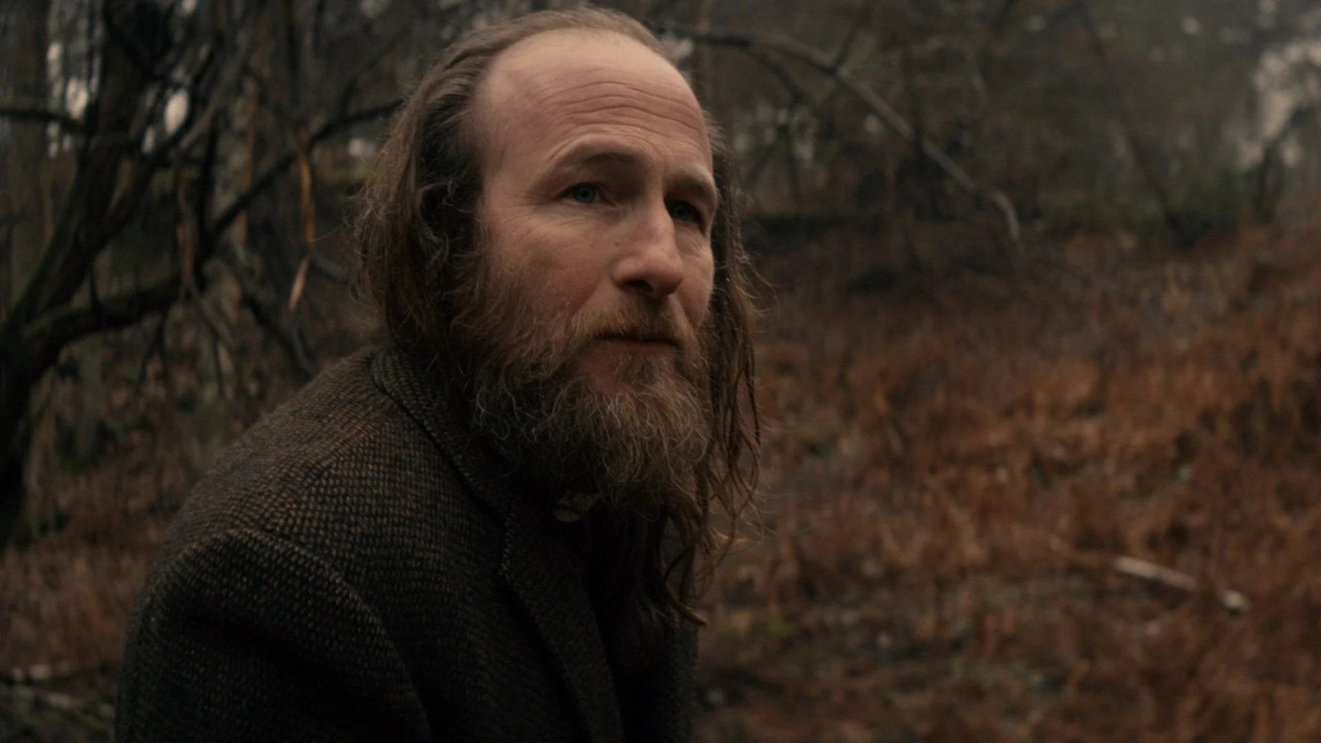 Backdrop de Blackwood