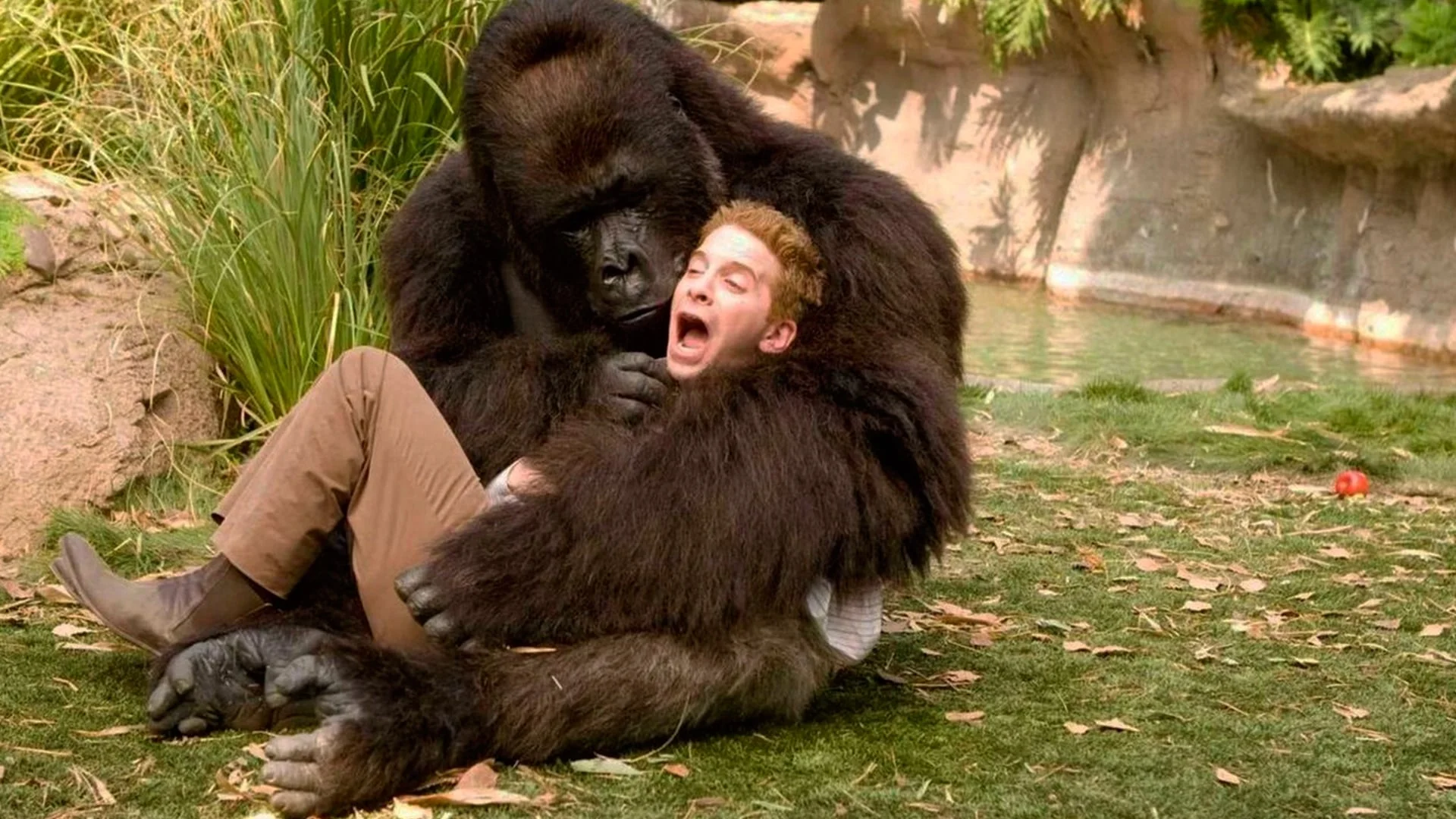 Backdrop de Papás a la fuerza