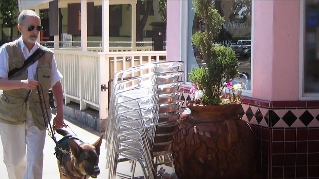 Luz Oscura: El Arte De Fotógrafos Ciegos