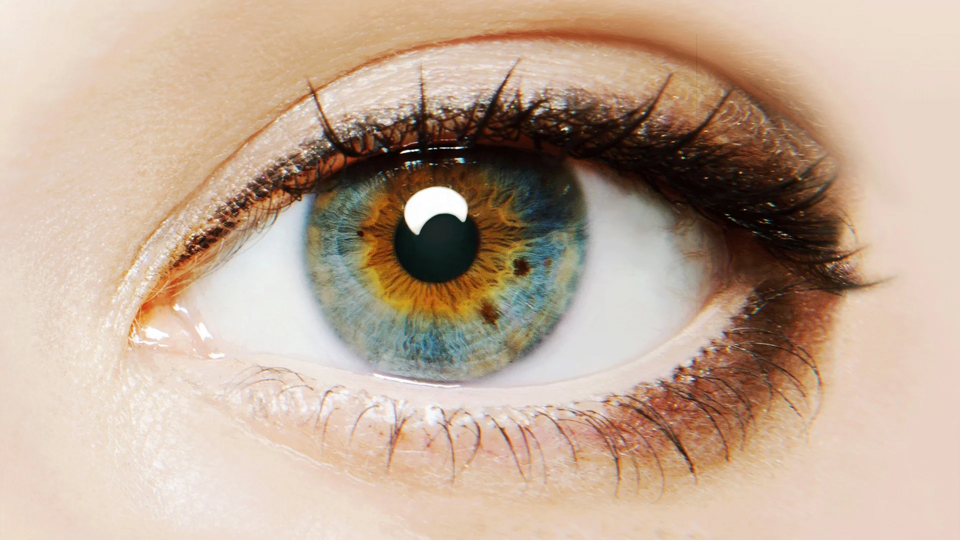 Backdrop de I Origins