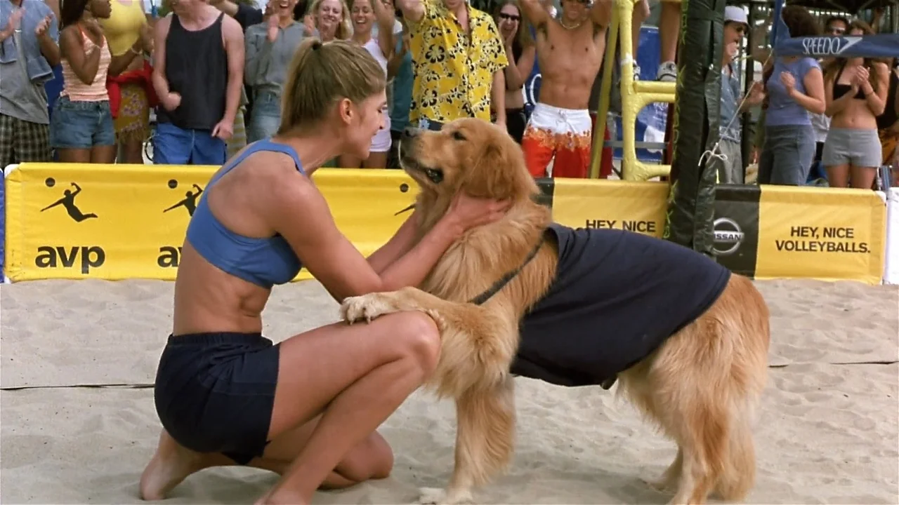 Air Bud: Golpea de Nuevo