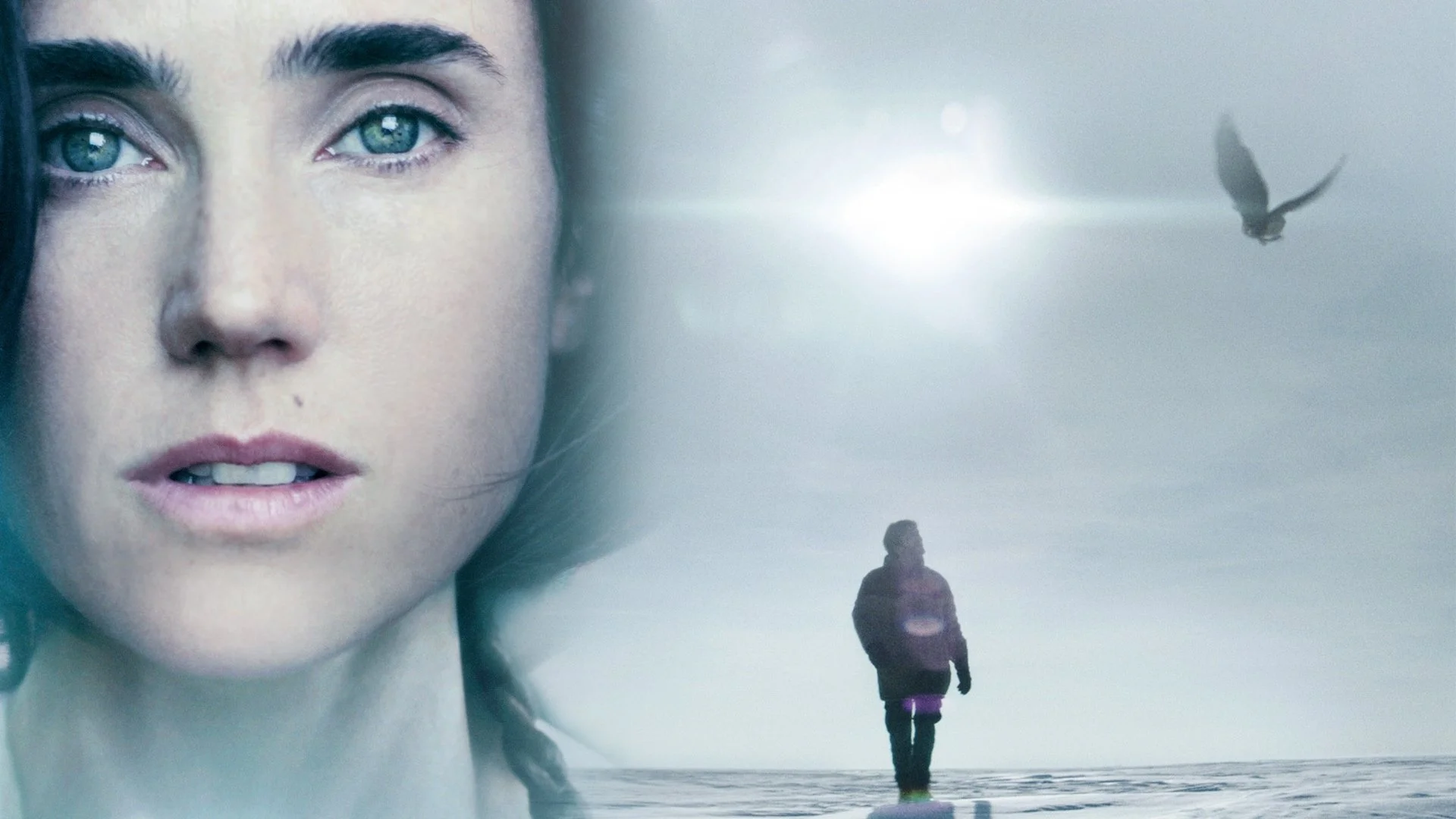 Backdrop de No Llores, Vuela