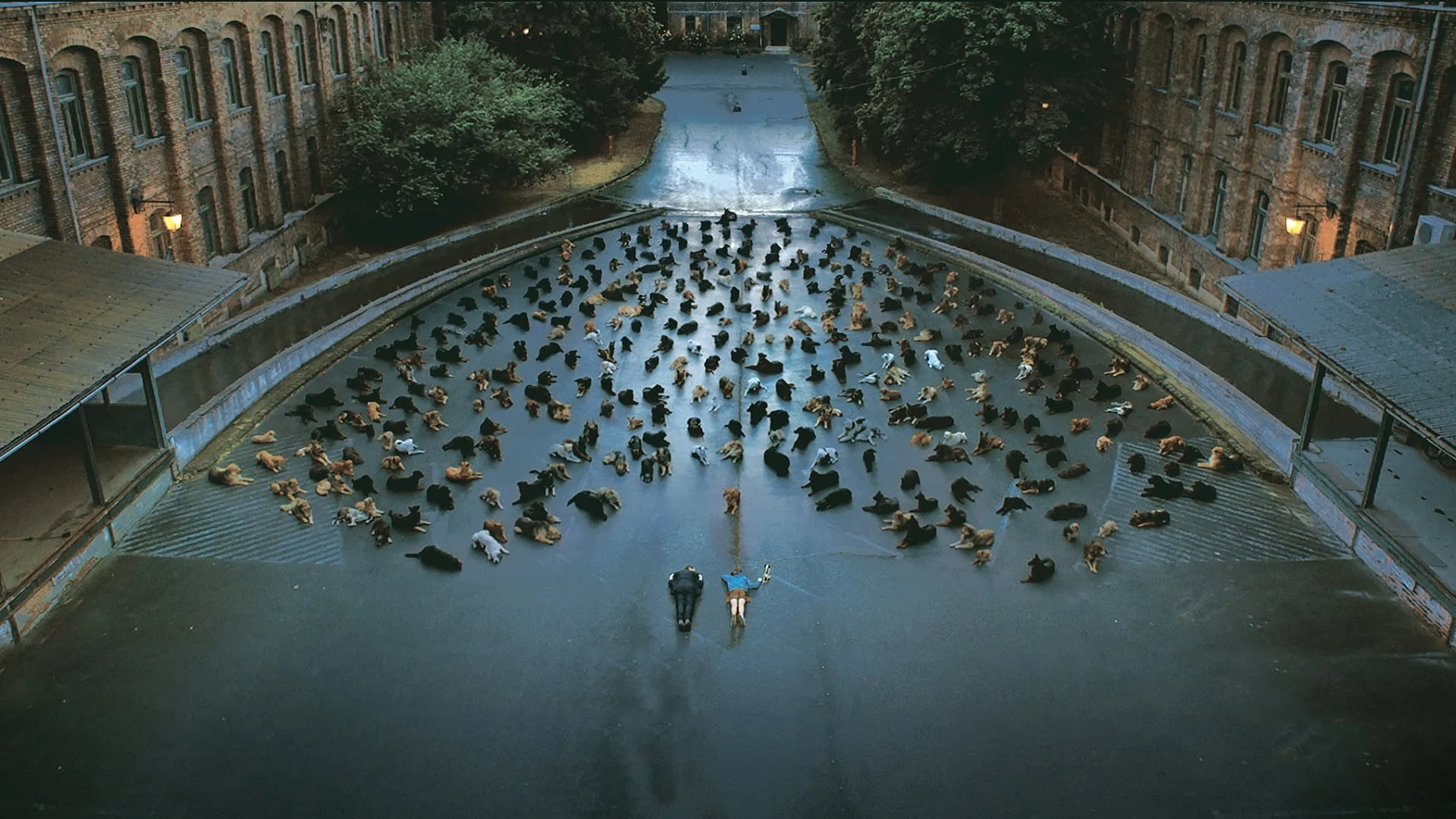 Backdrop de Hagen y yo