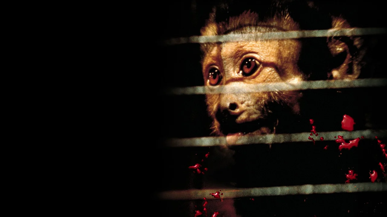 Atracción diabólica (Monkey Shines)