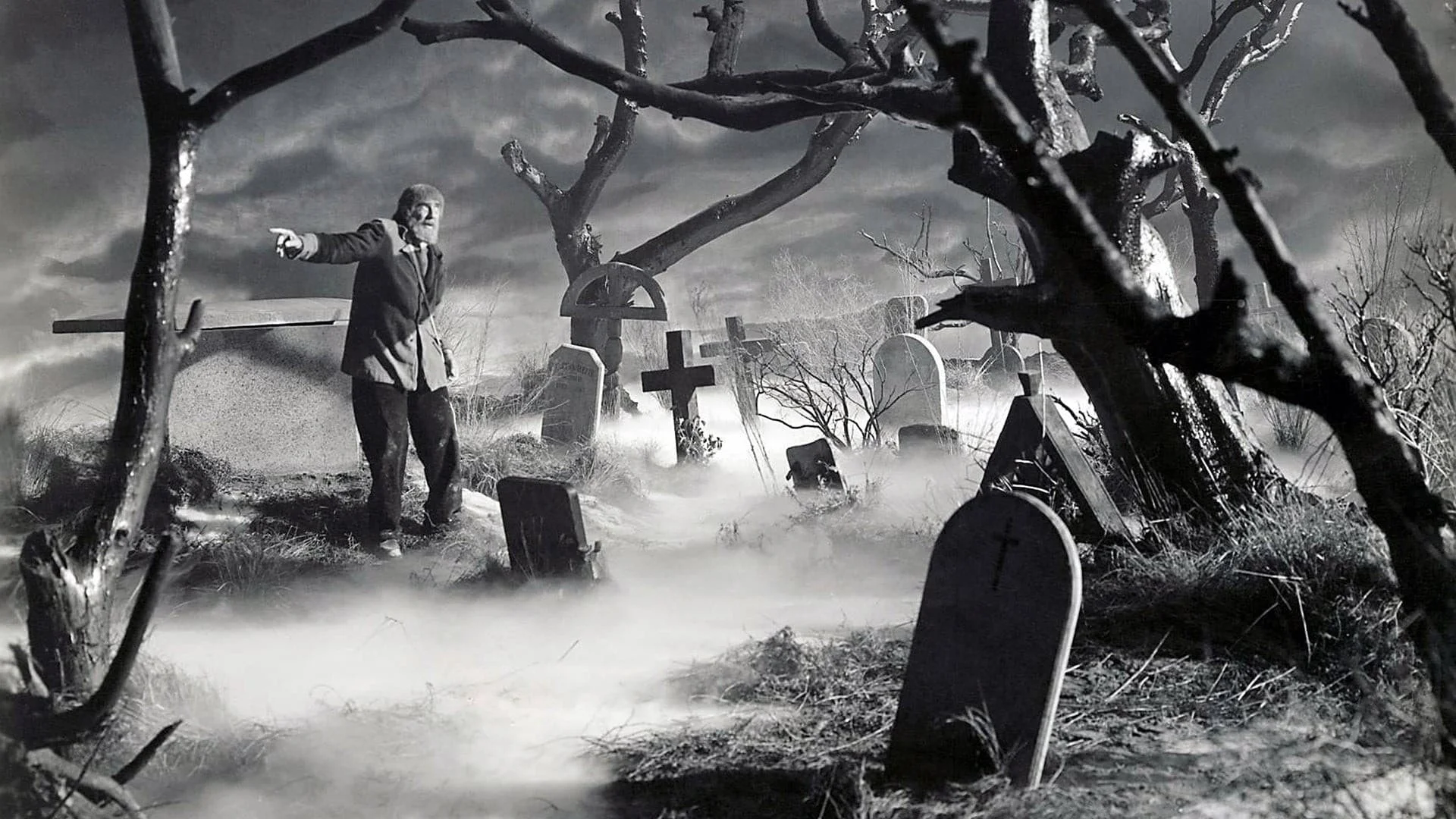 Backdrop de El hijo de Frankenstein