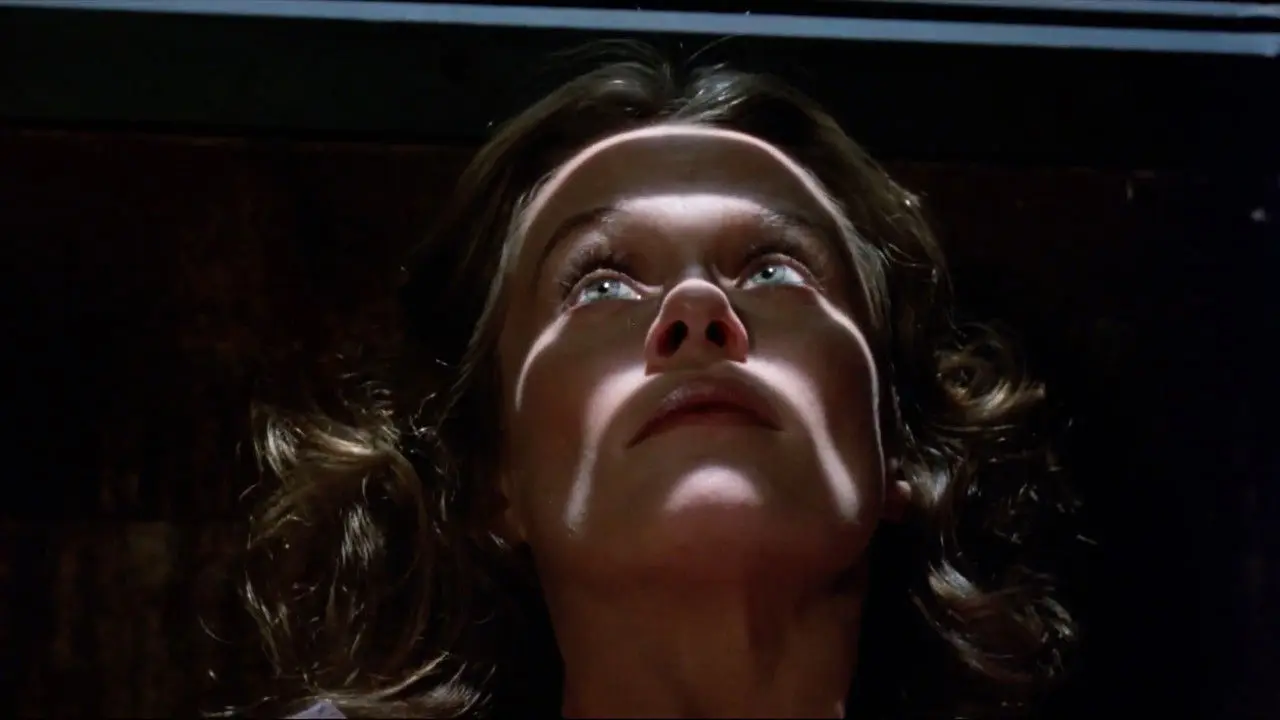 ¡Alguien me vigila!