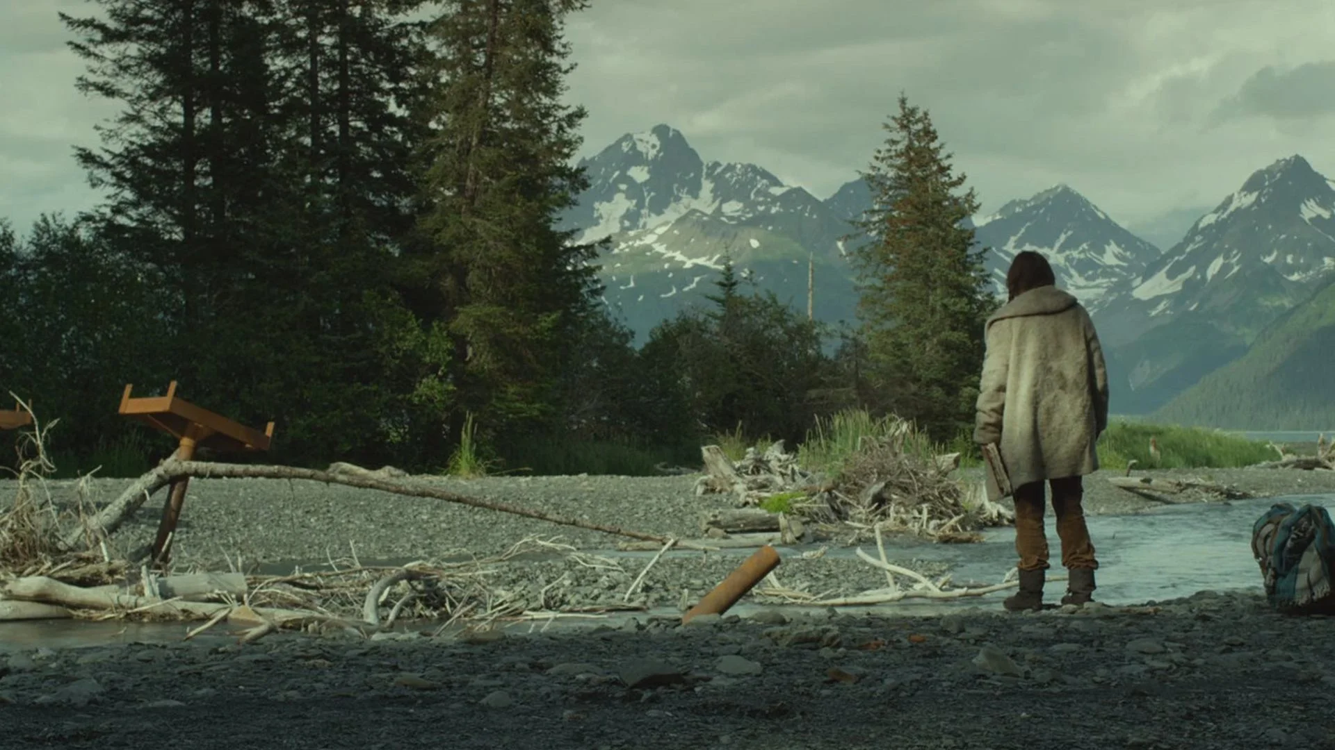 Backdrop de Sea Horse