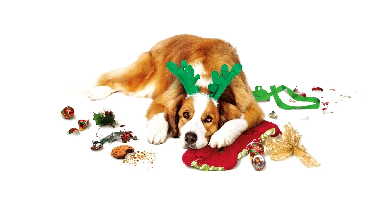 Navidad con los Cooper