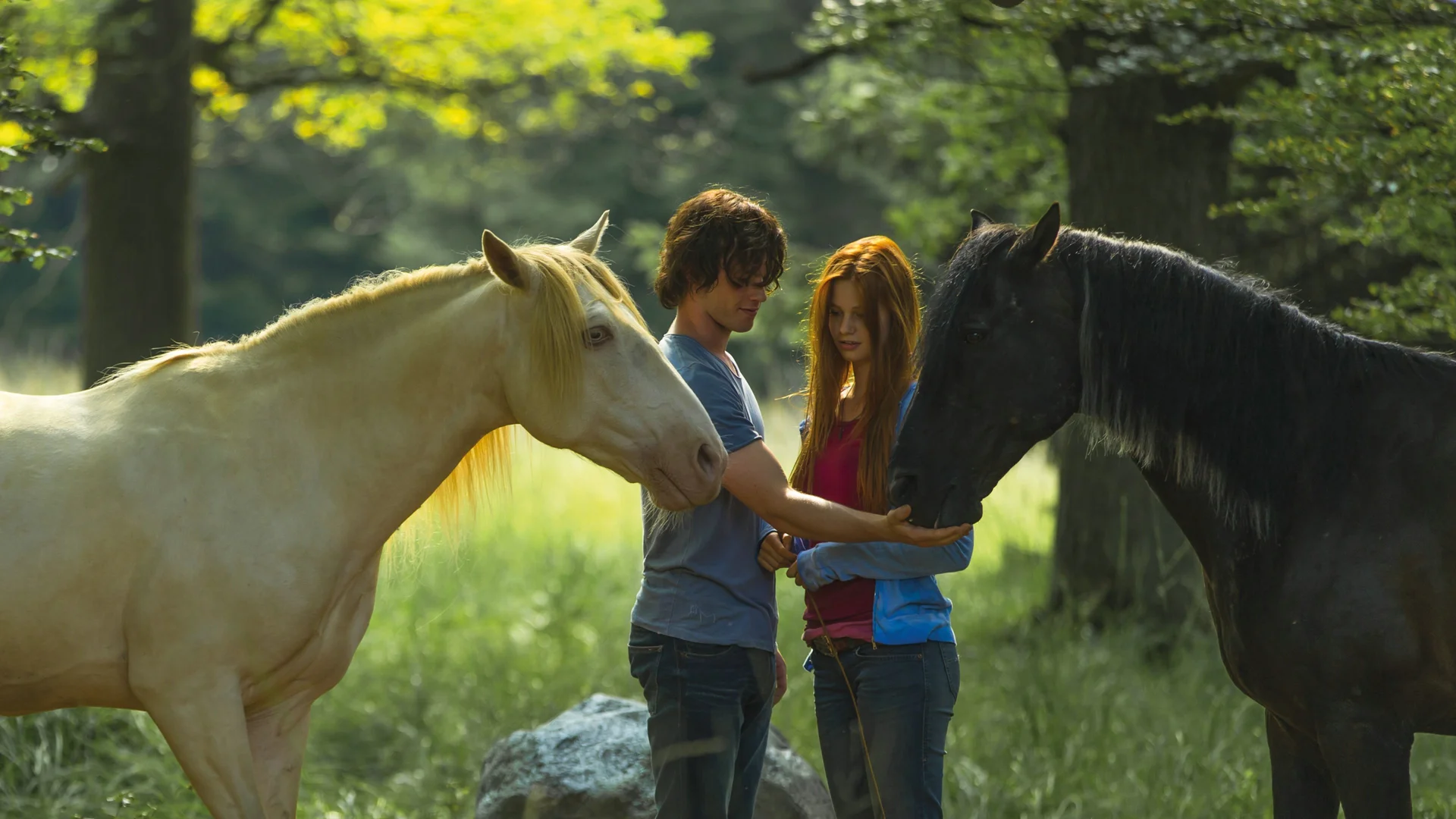 Backdrop de Ostwind 2