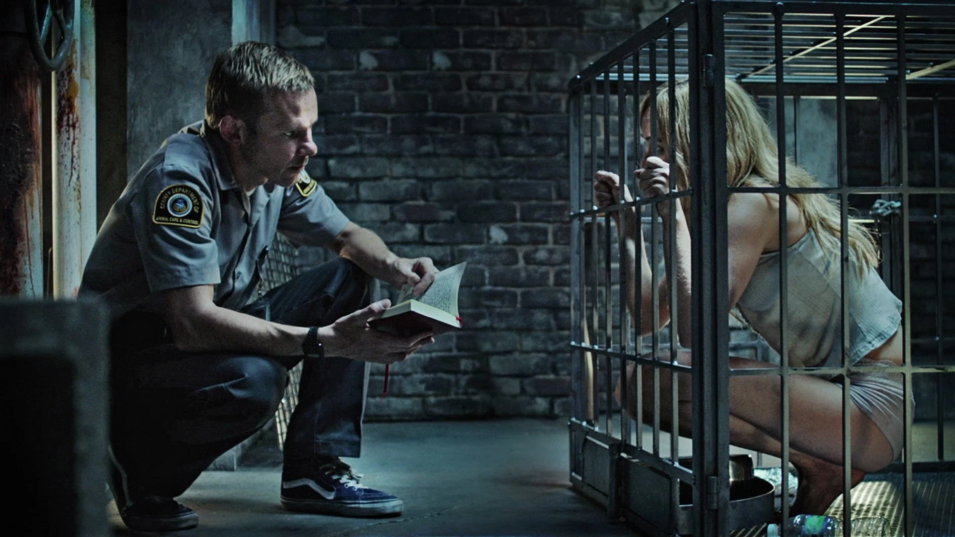 Backdrop de Animal de compañia