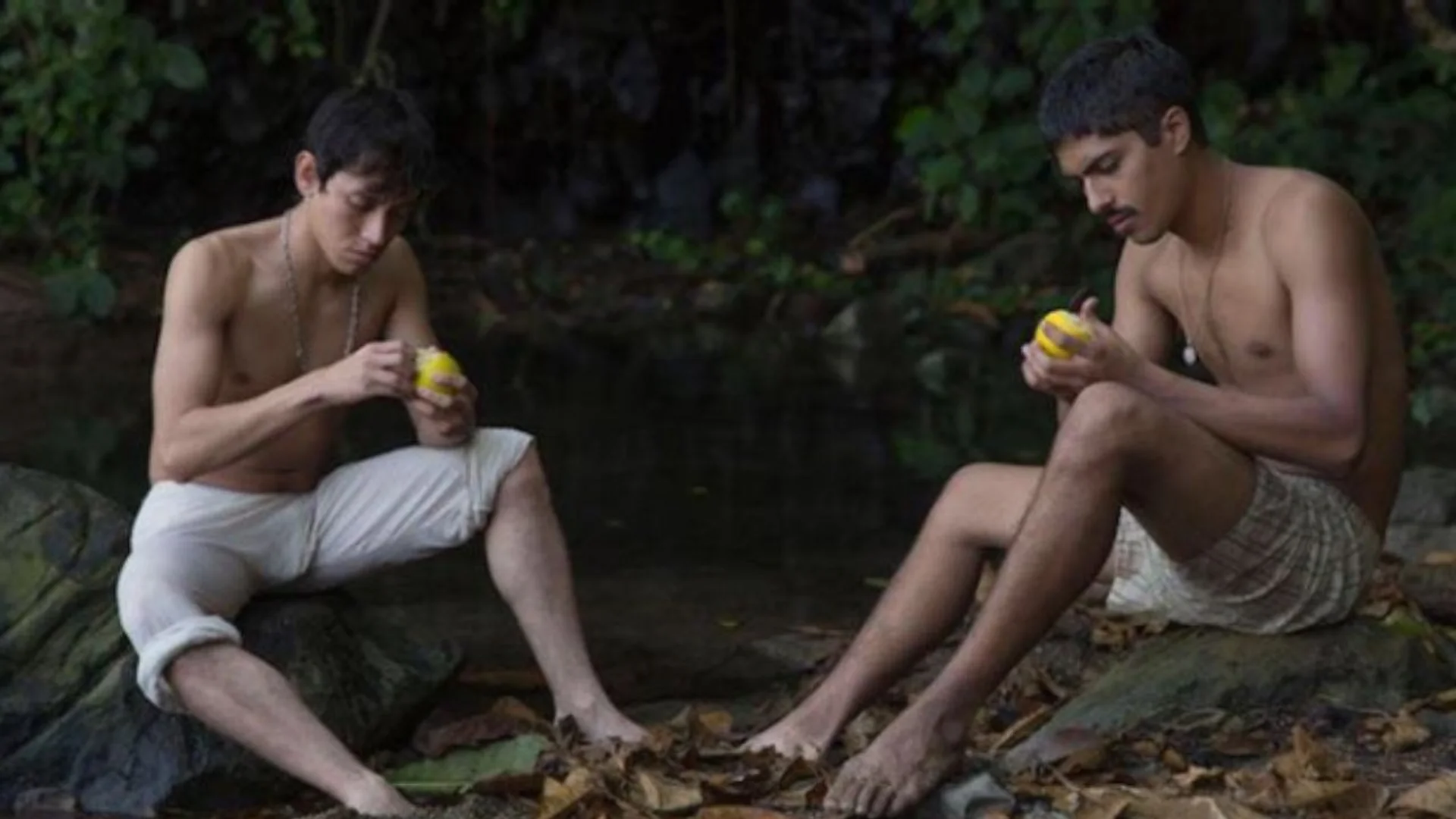 Backdrop de Sueño en otro idioma